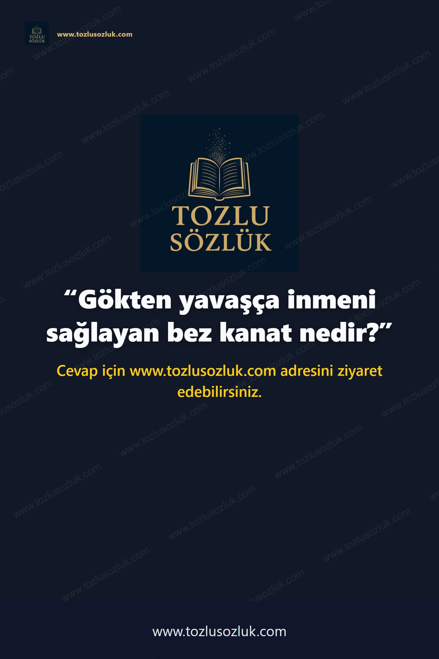 Gökten yavaşça inmeni sağlayan bez kanat nedir? Pinterest görseli