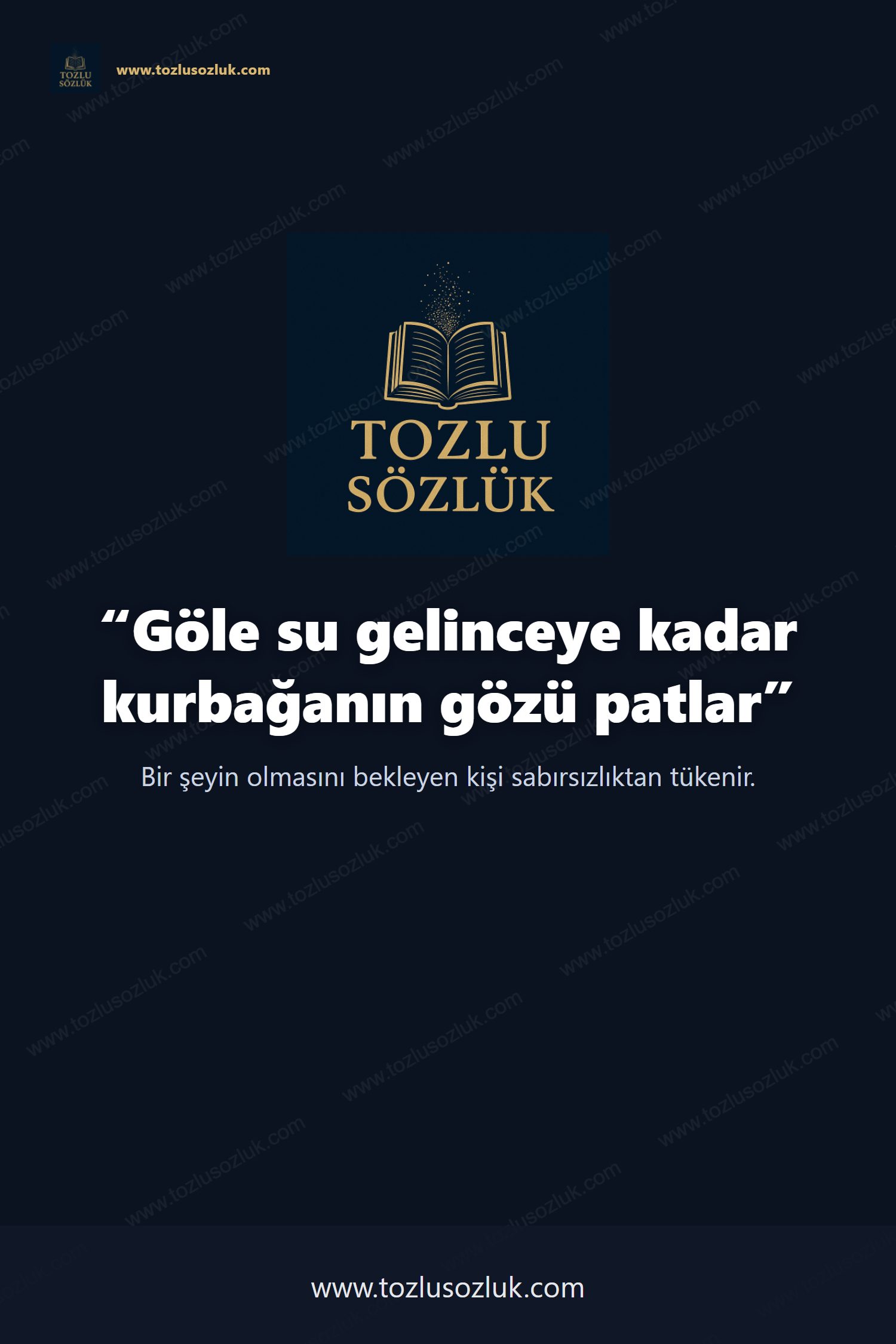 Göle su gelinceye kadar kurbağanın gözü patlar Pinterest görseli
