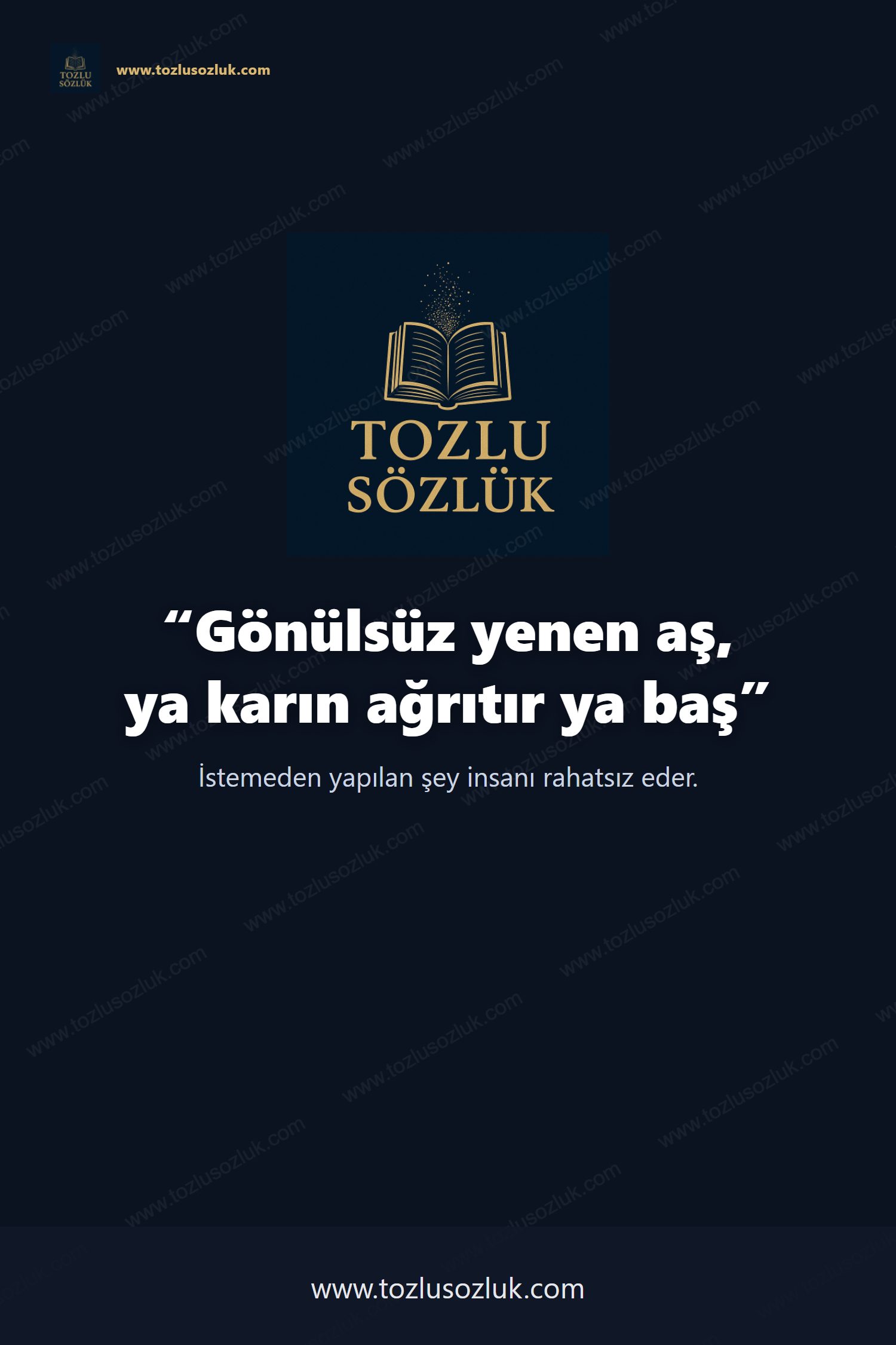 Gönülsüz yenen aş, ya karın ağrıtır ya baş Pinterest görseli