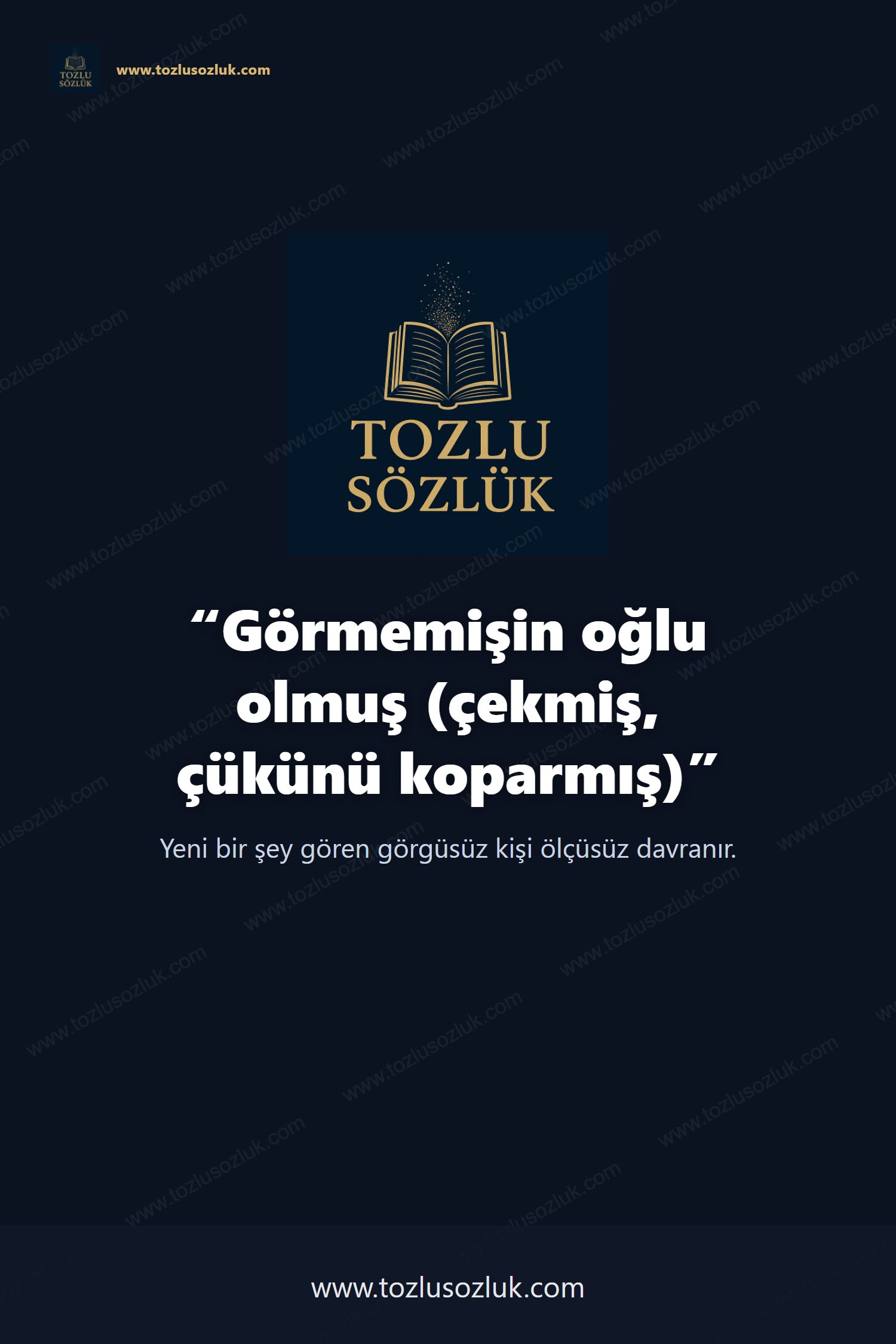Görmemişin oğlu olmuş (çekmiş, çükünü koparmış) Pinterest görseli
