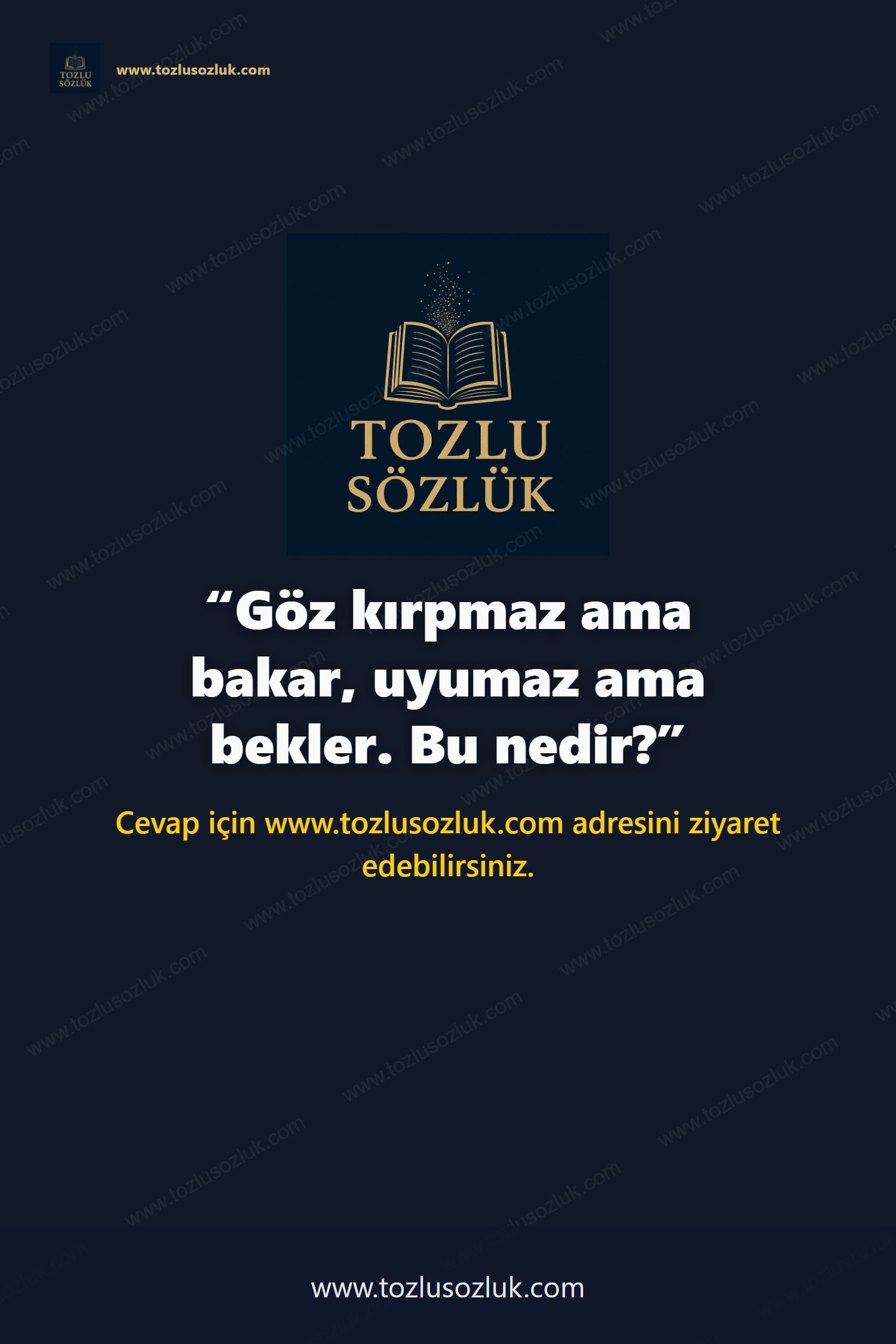 Göz kırpmaz ama bakar, uyumaz ama bekler. Bu nedir? Pinterest görseli
