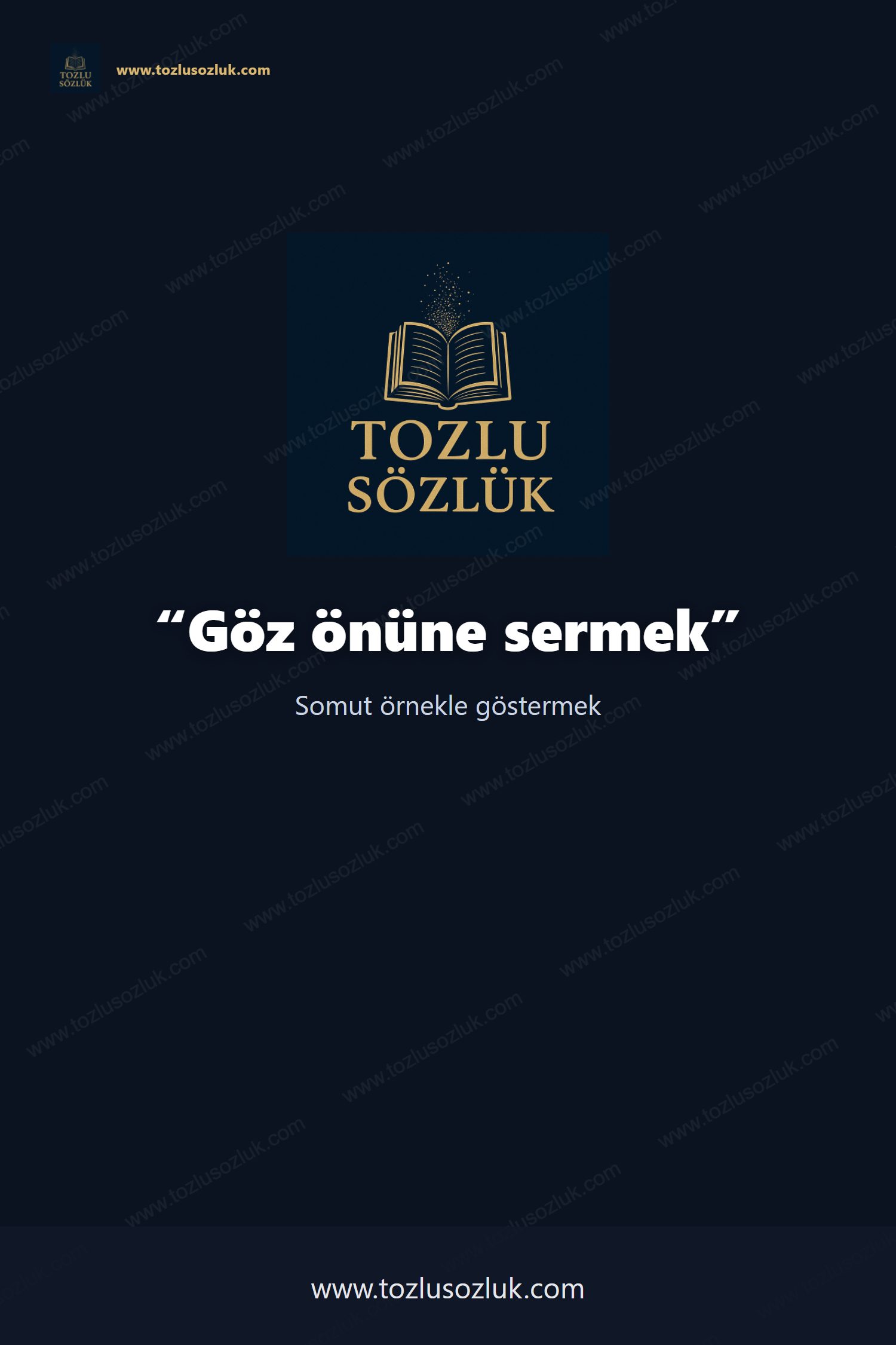 Göz önüne sermek Pinterest görseli