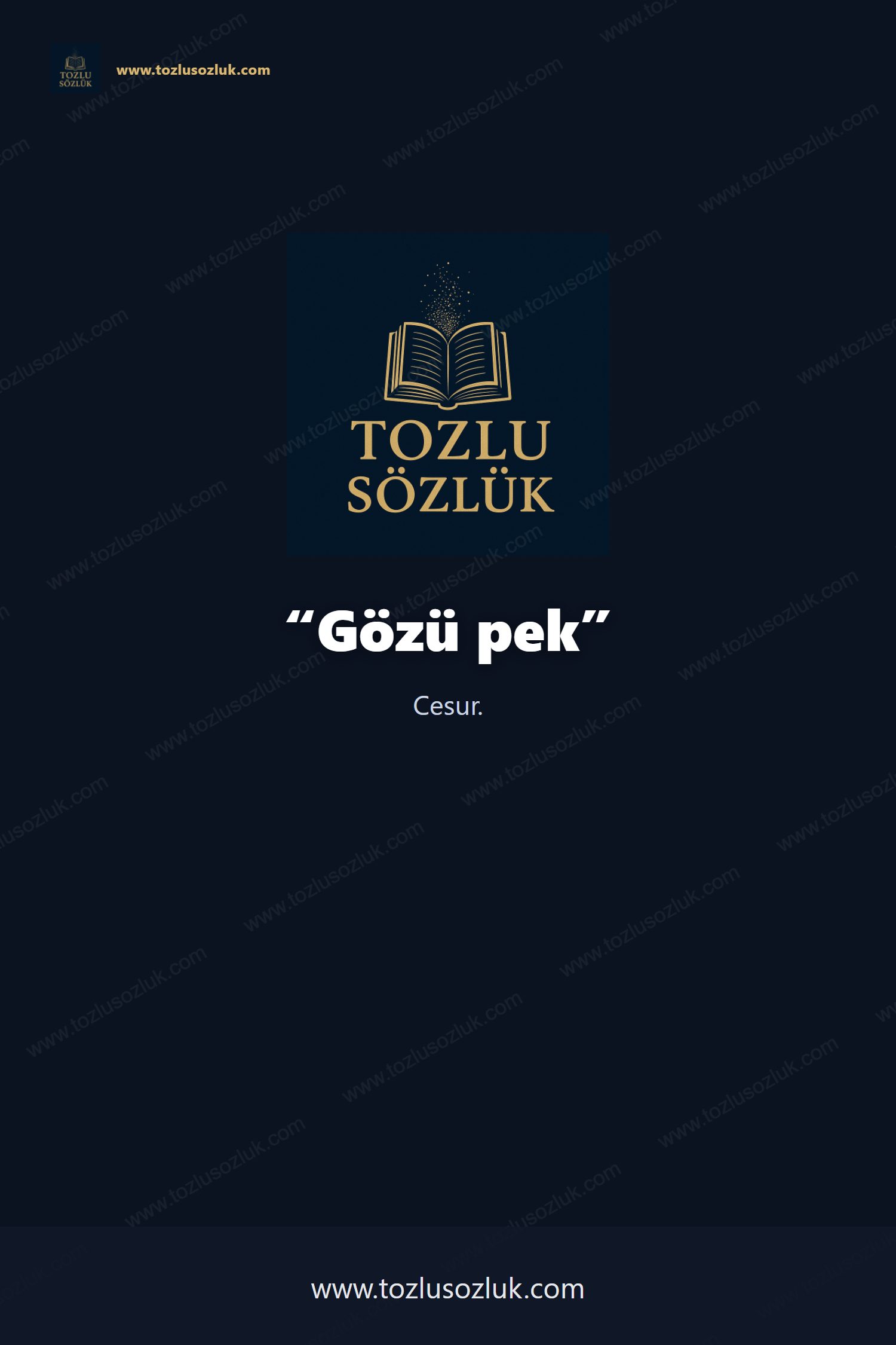 Gözü pek Pinterest görseli