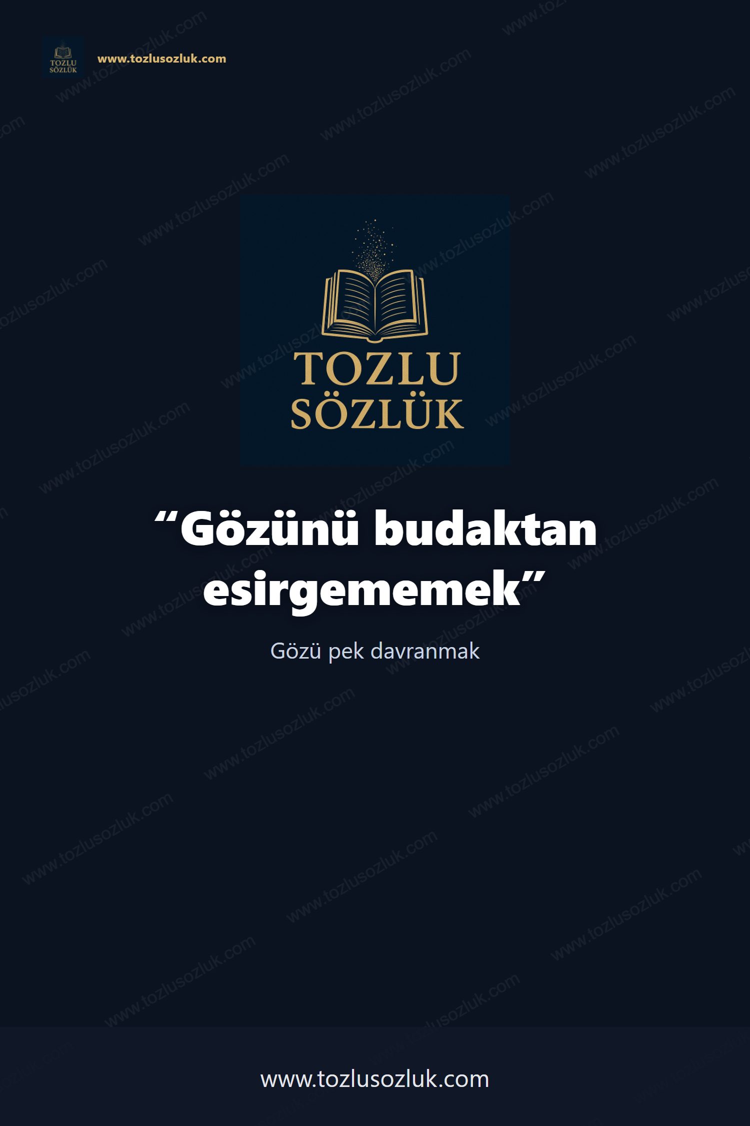 Gözünü budaktan esirgememek Pinterest görseli