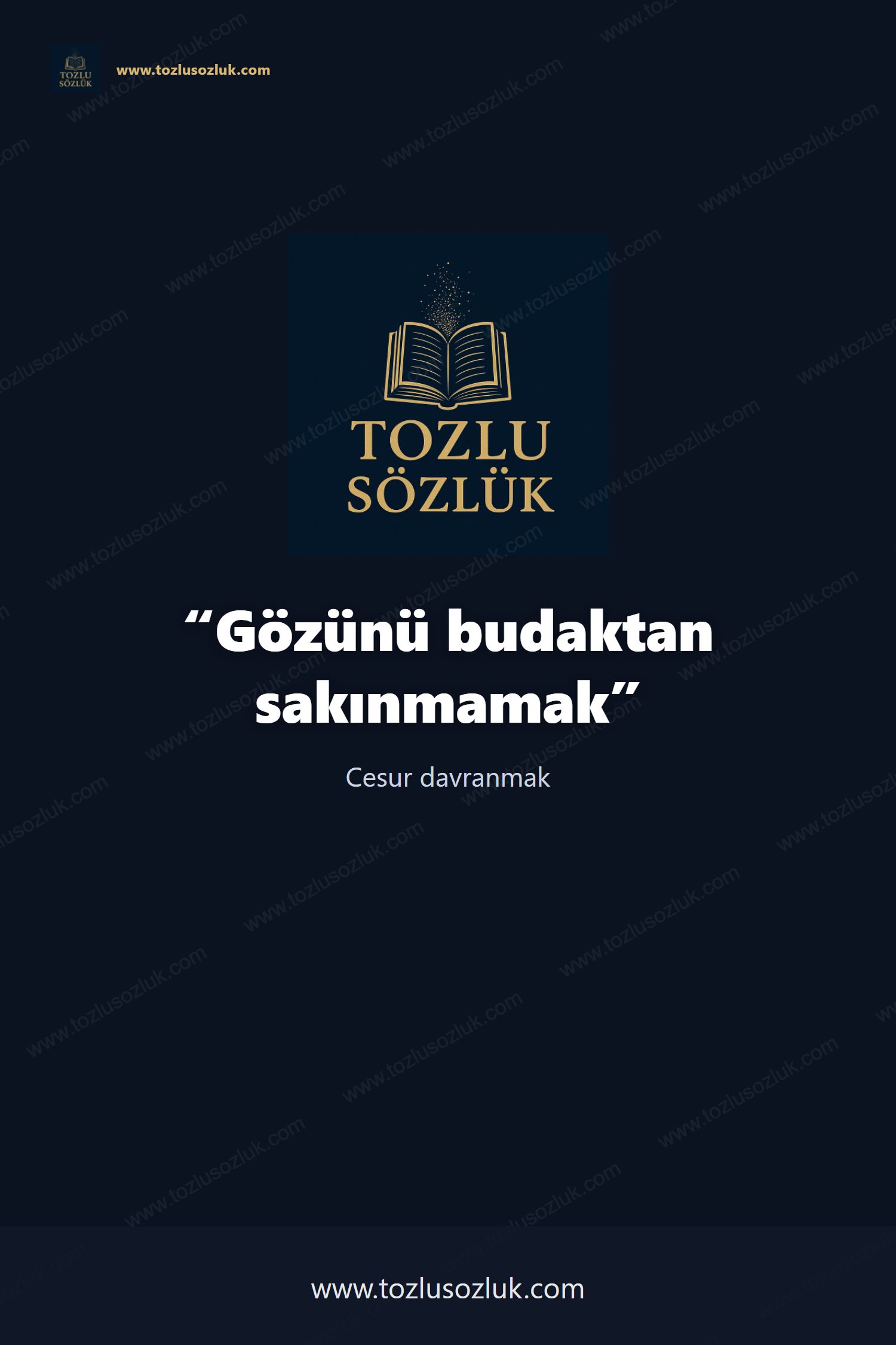 Gözünü budaktan sakınmamak Pinterest görseli
