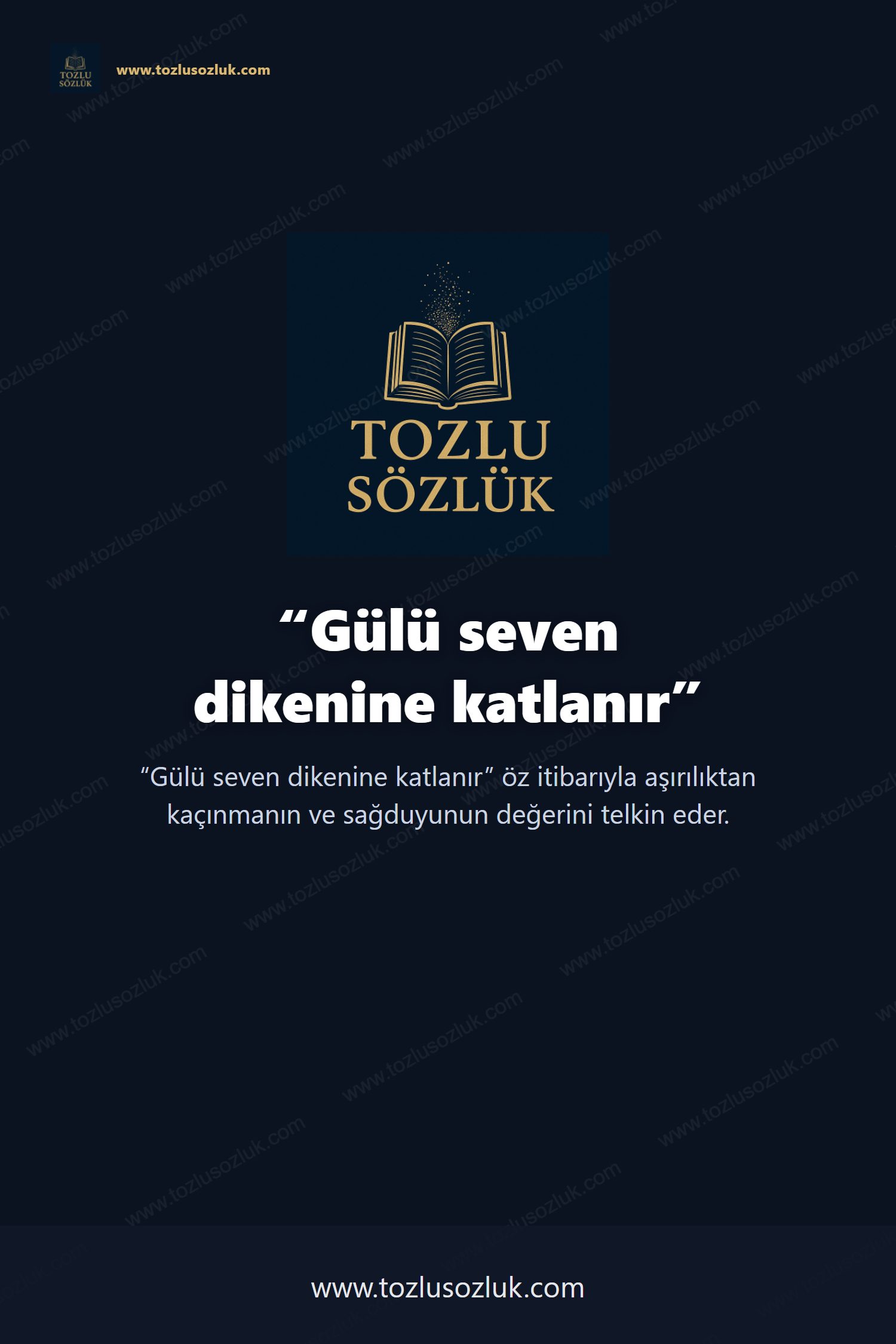 Gülü seven dikenine katlanır Pinterest görseli