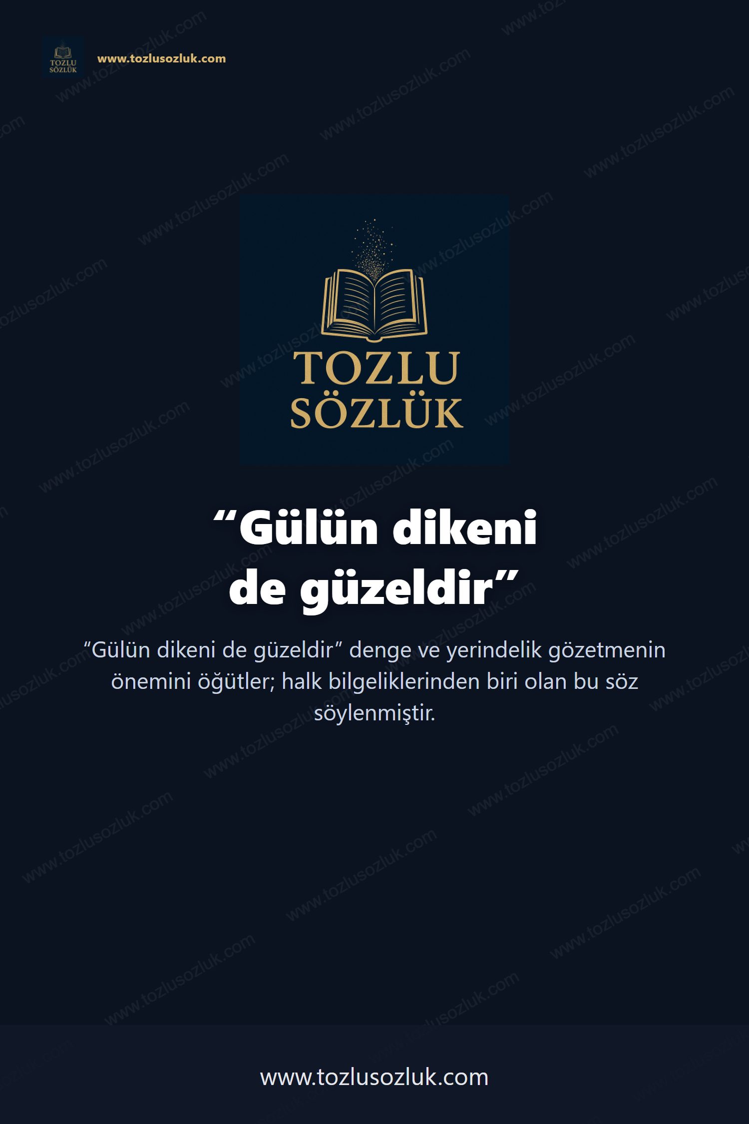 Gülün dikeni de güzeldir Pinterest görseli