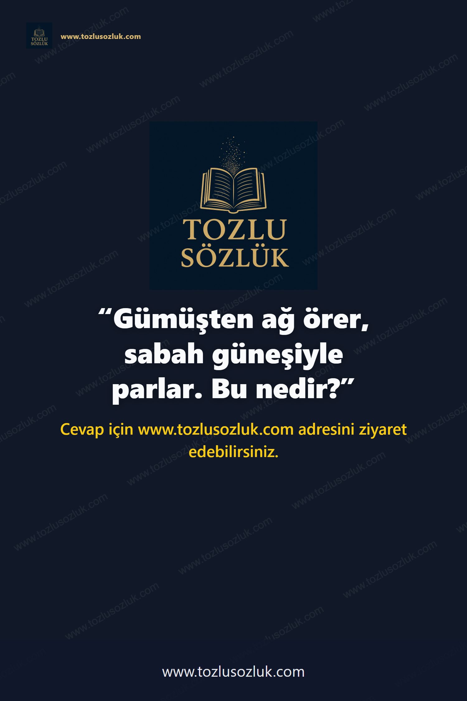 Gümüşten ağ örer, sabah güneşiyle parlar. Bu nedir? Pinterest görseli