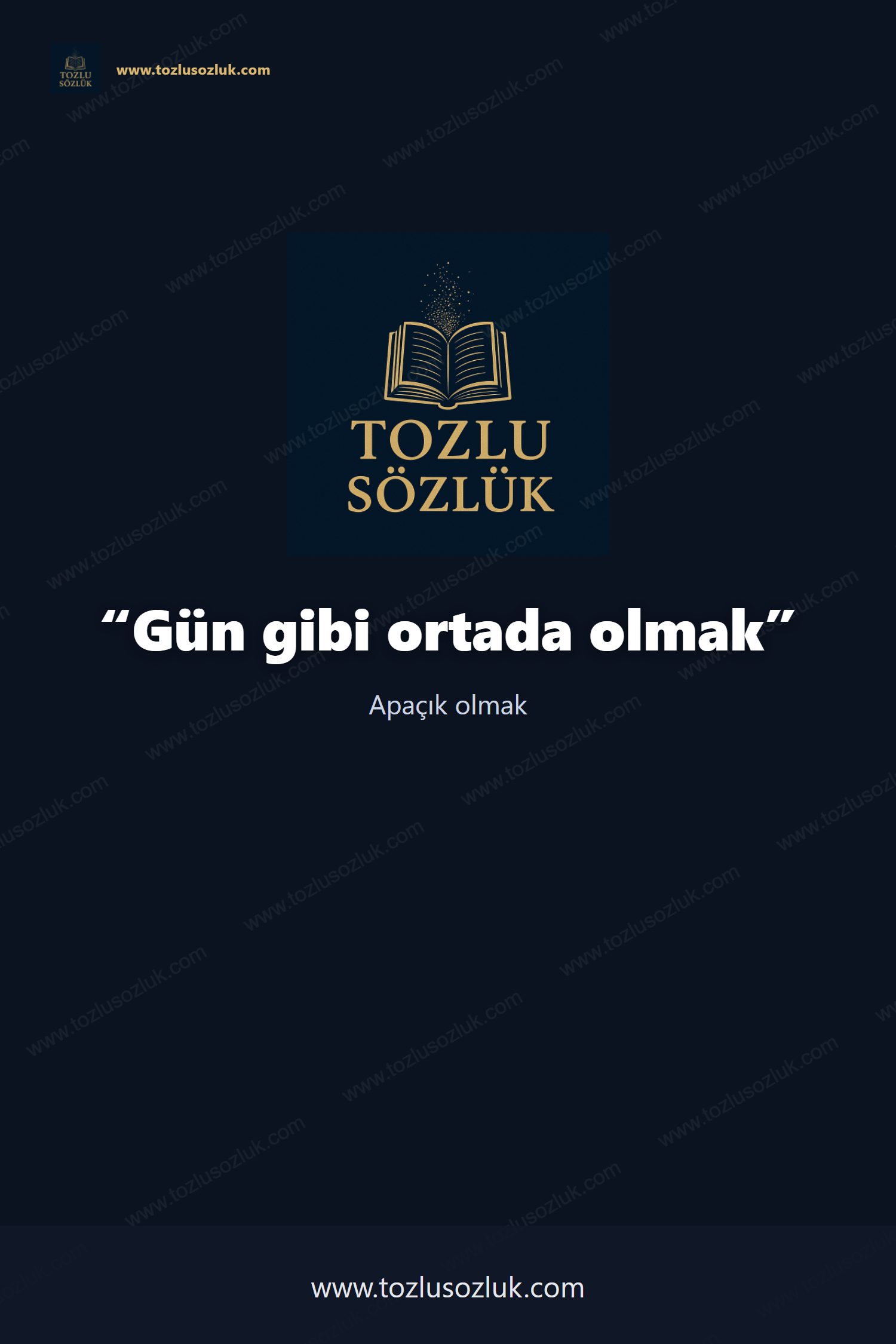 Gün gibi ortada olmak Pinterest görseli