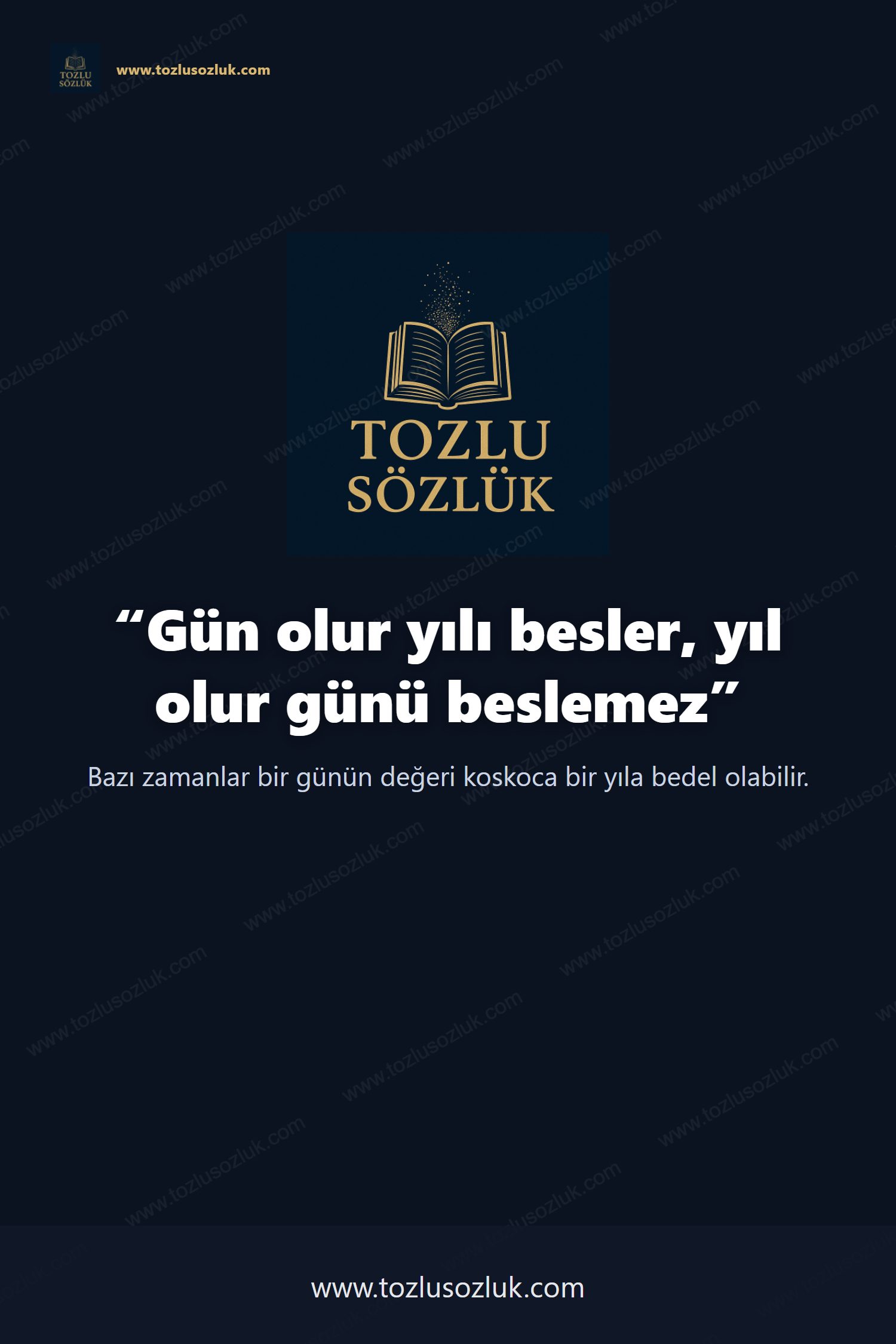 Gün olur yılı besler, yıl olur günü beslemez Pinterest görseli