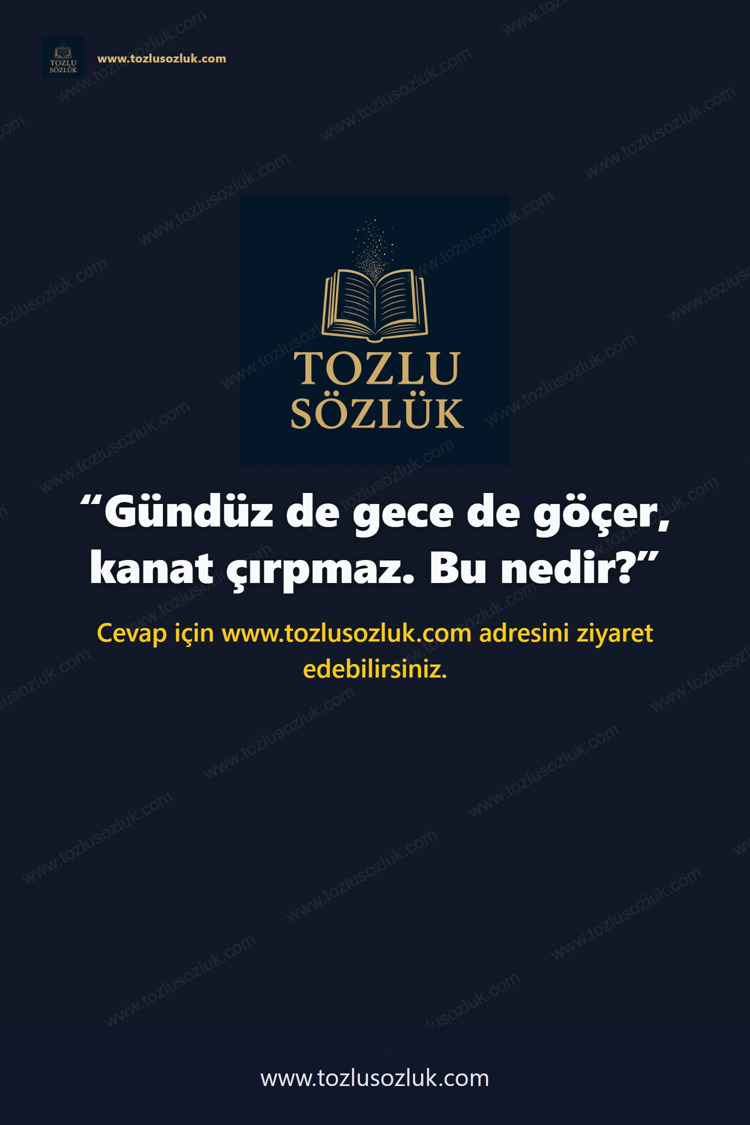 Gündüz de gece de göçer, kanat çırpmaz. Bu nedir? Pinterest görseli