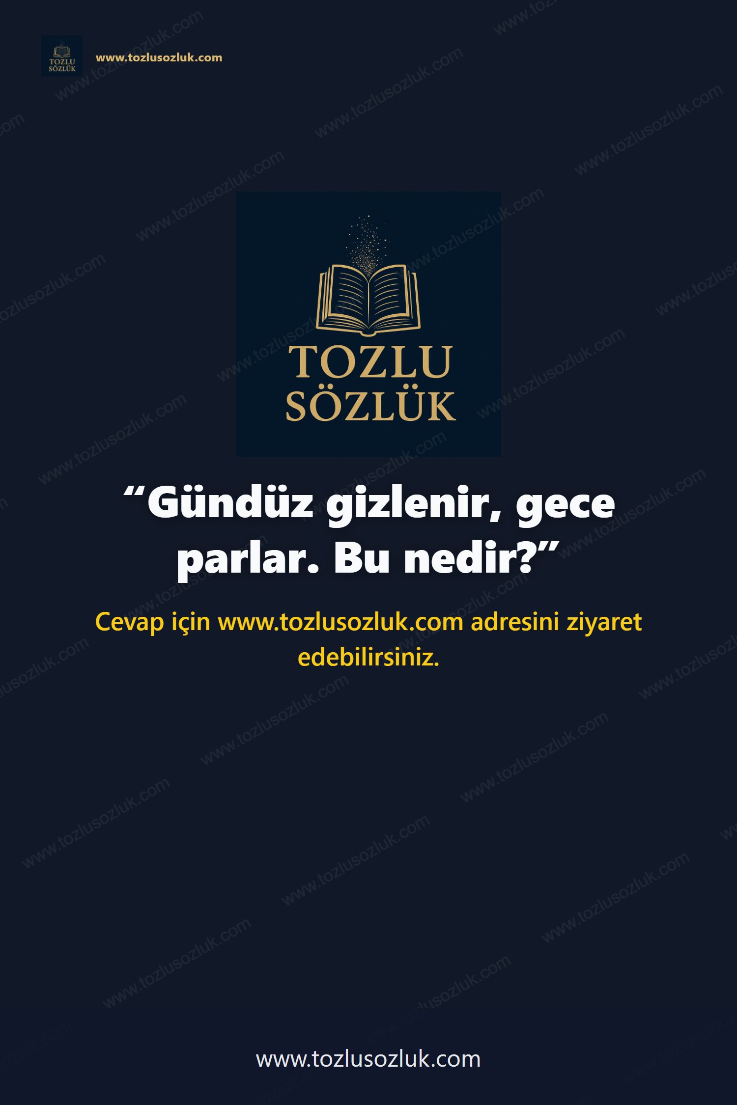 Gündüz gizlenir, gece parlar. Bu nedir? Pinterest görseli