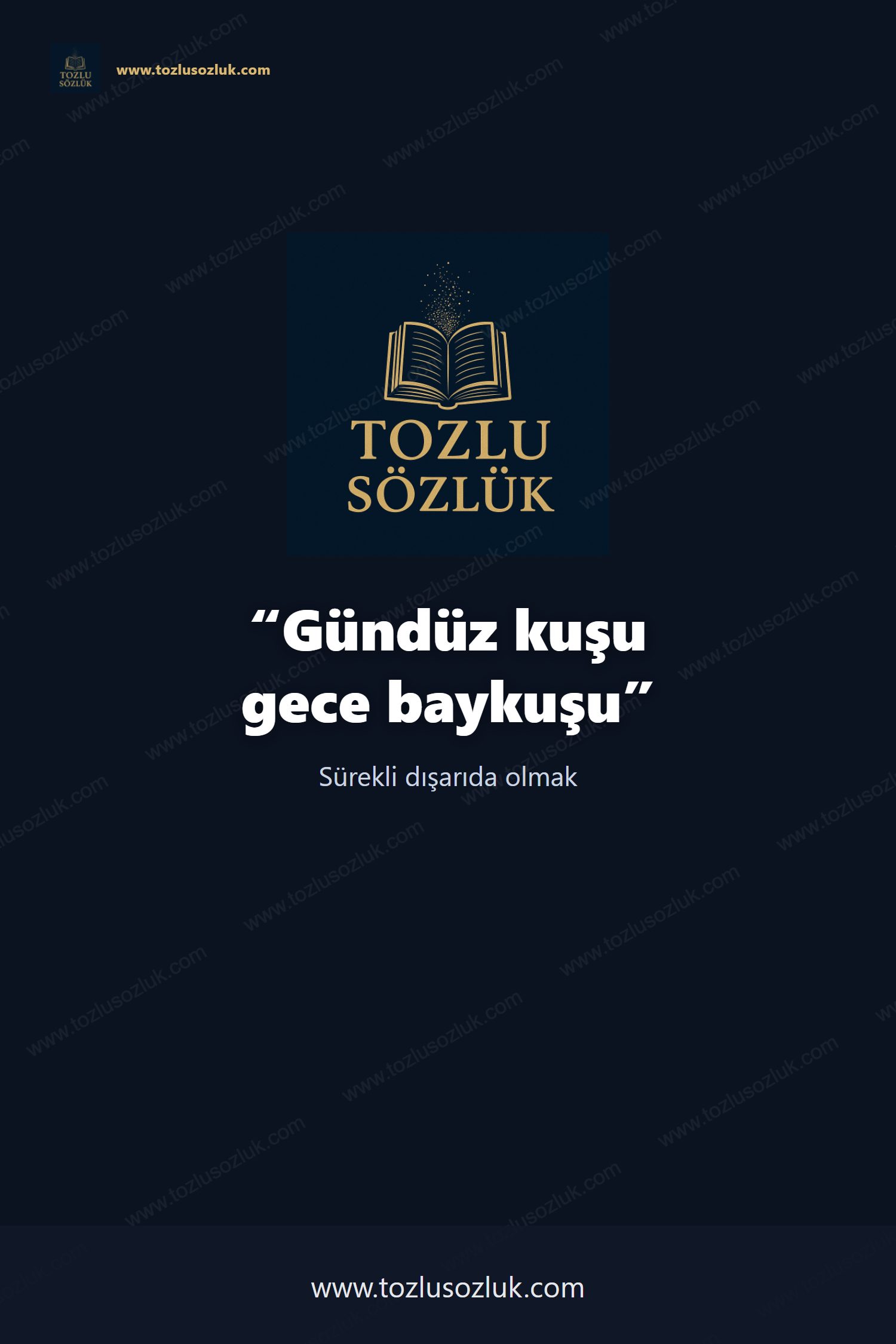 Gündüz kuşu gece baykuşu Pinterest görseli