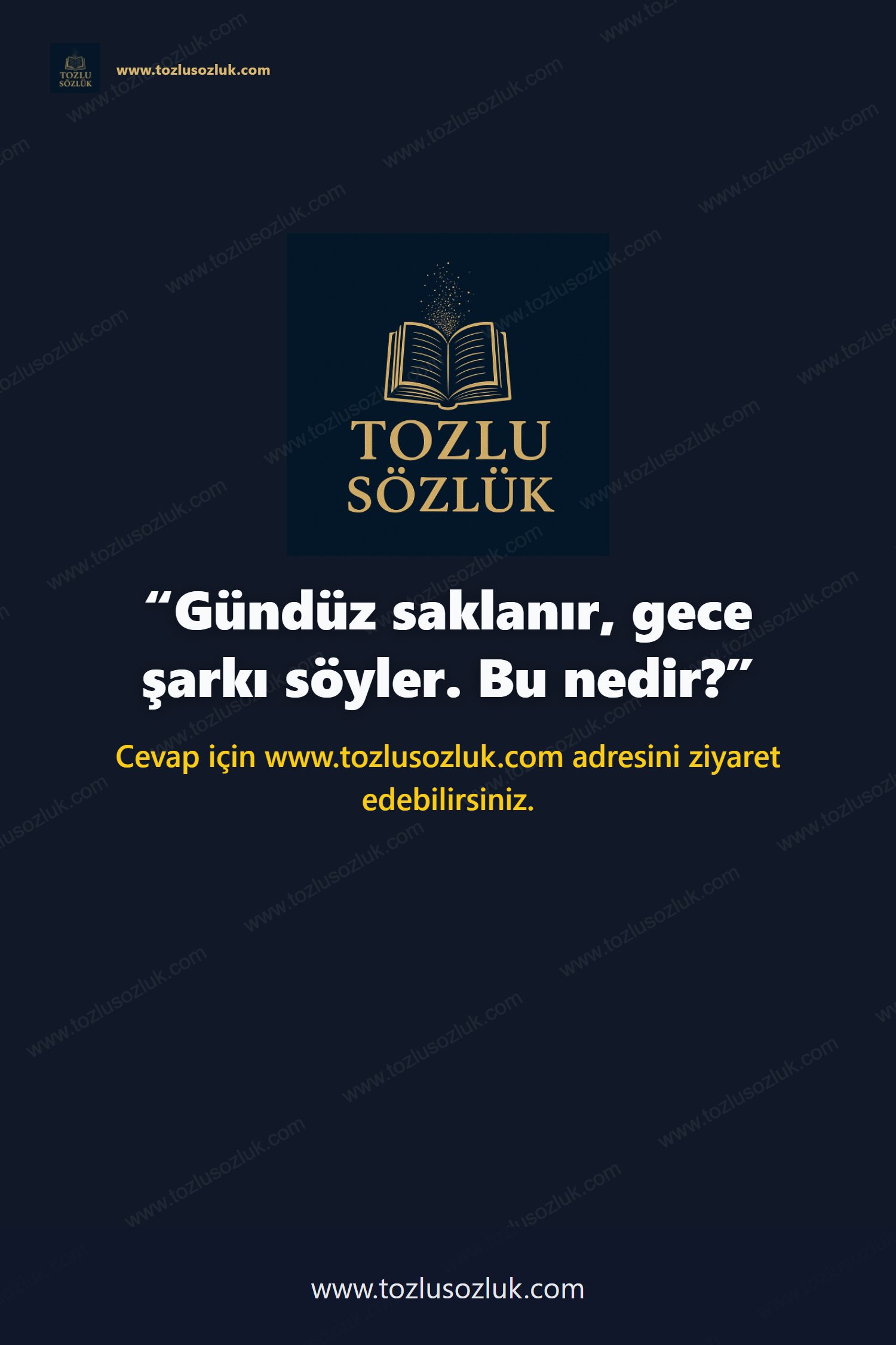 Gündüz saklanır, gece şarkı söyler. Bu nedir? Pinterest görseli