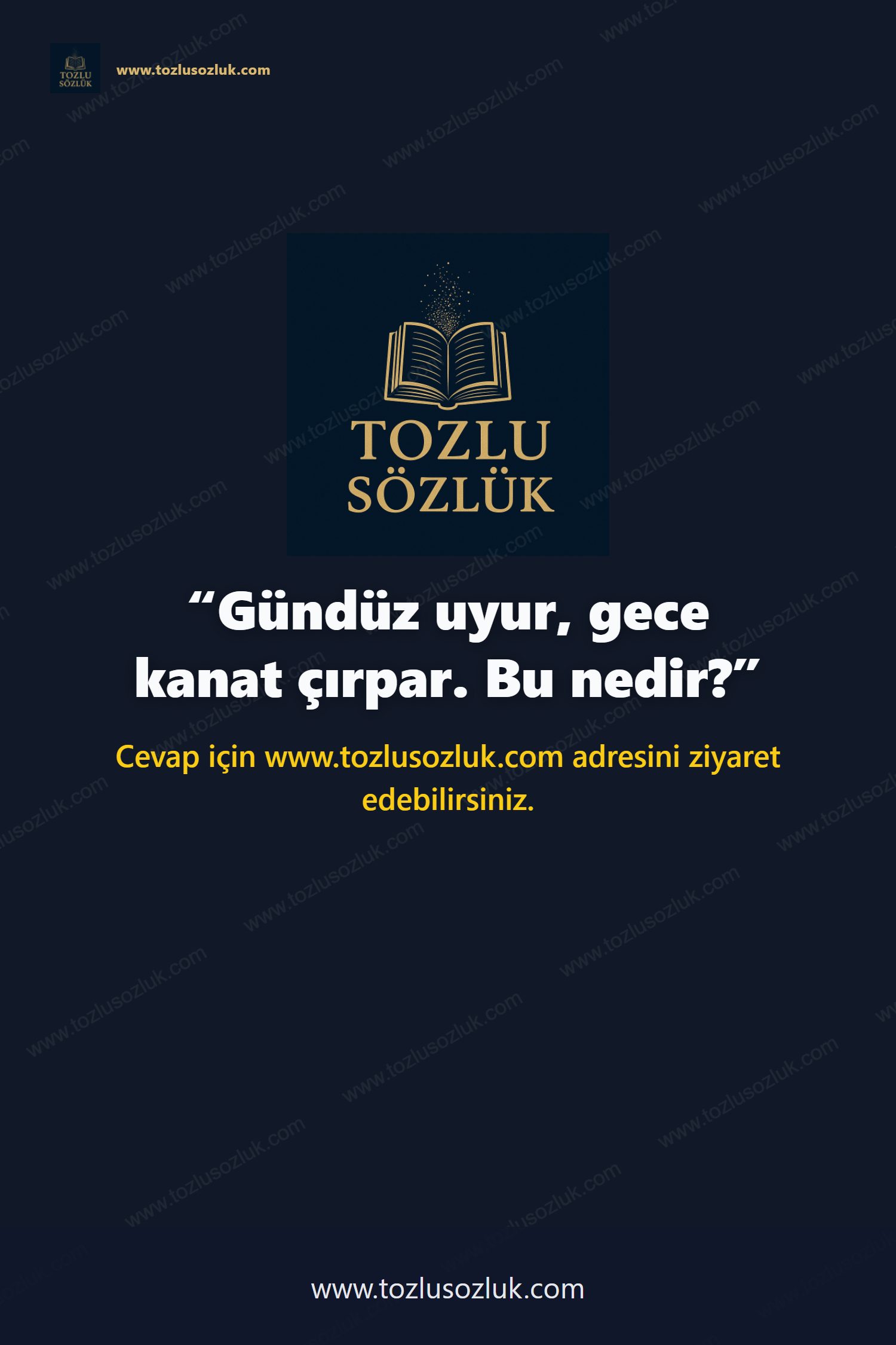 Gündüz uyur, gece kanat çırpar. Bu nedir? Pinterest görseli