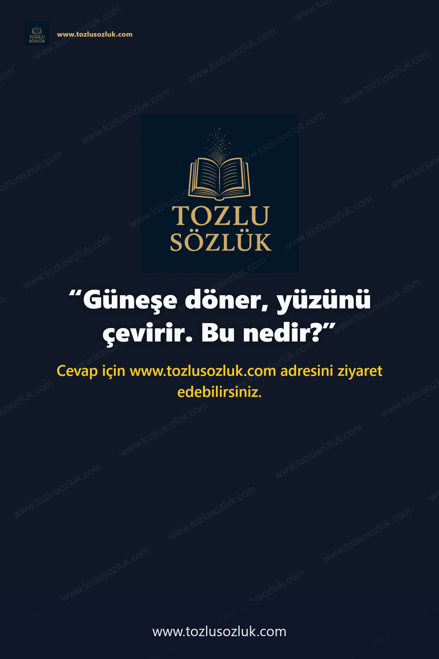 Güneşe döner, yüzünü çevirir. Bu nedir? Pinterest görseli