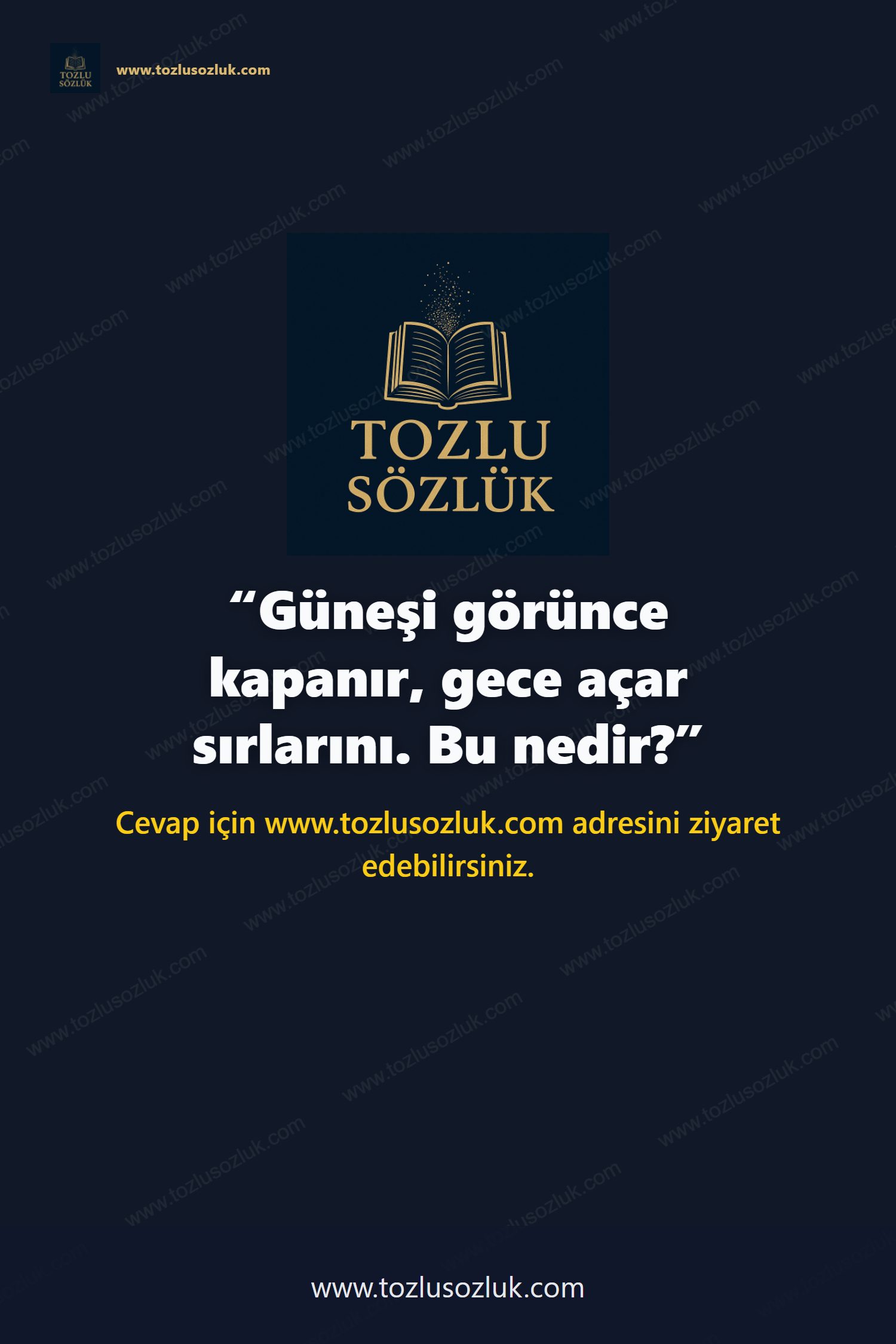 Güneşi görünce kapanır, gece açar sırlarını. Bu nedir? Pinterest görseli