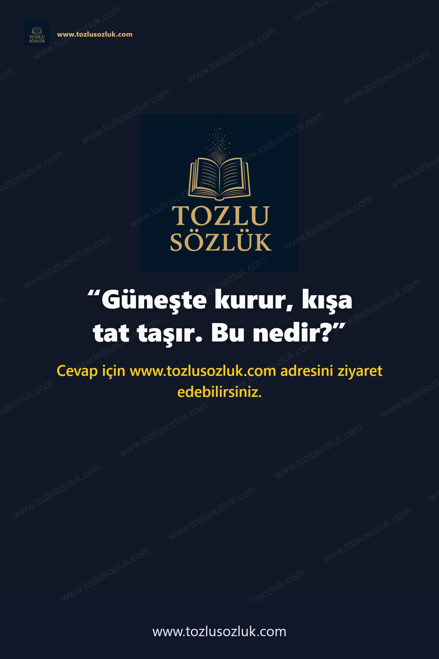 Güneşte kurur, kışa tat taşır. Bu nedir? Pinterest görseli