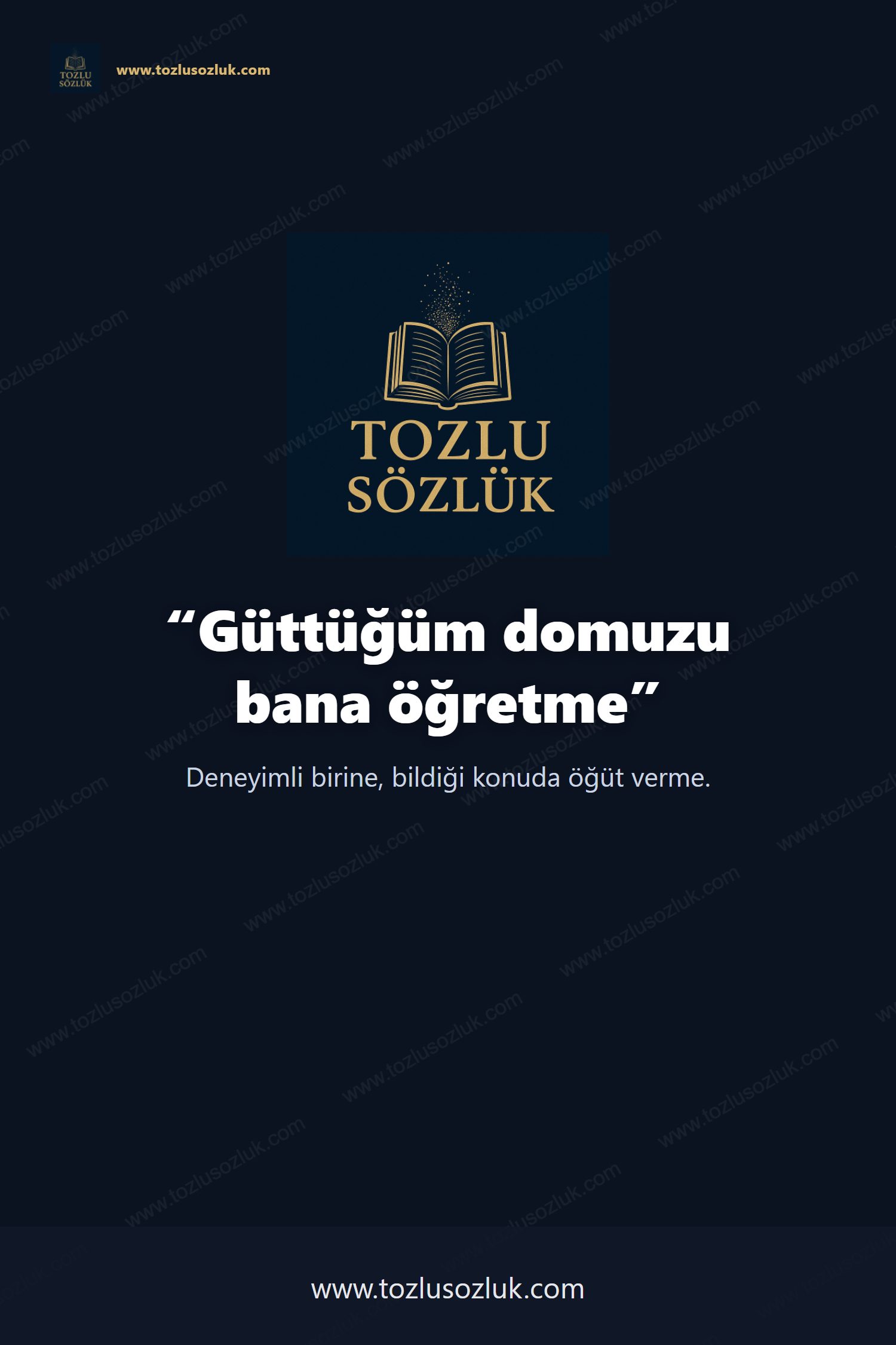 Güttüğüm domuzu bana öğretme Pinterest görseli