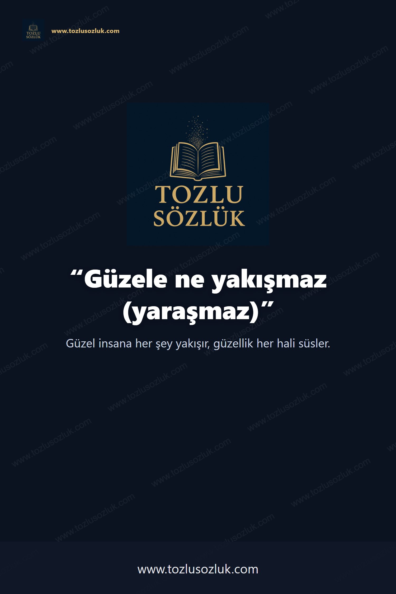 Güzele ne yakışmaz (yaraşmaz) Pinterest görseli