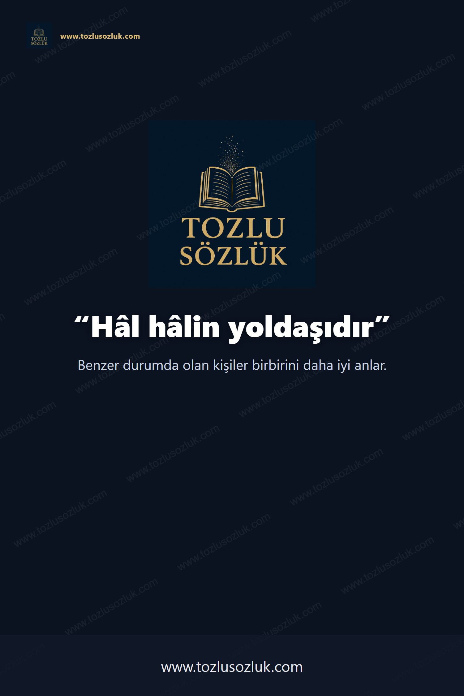 Hâl hâlin yoldaşıdır Pinterest görseli