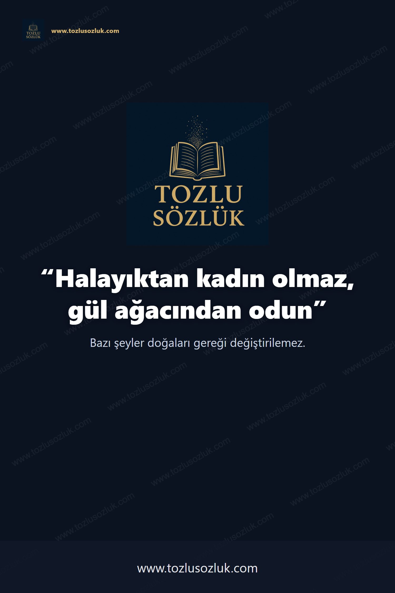 Halayıktan kadın olmaz, gül ağacından odun Pinterest görseli