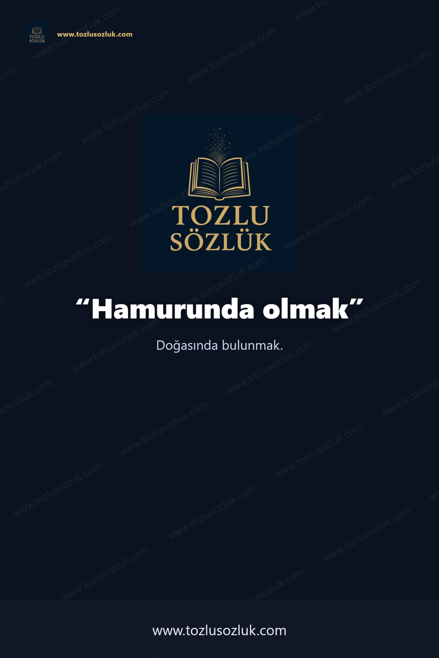 Hamurunda olmak Pinterest görseli