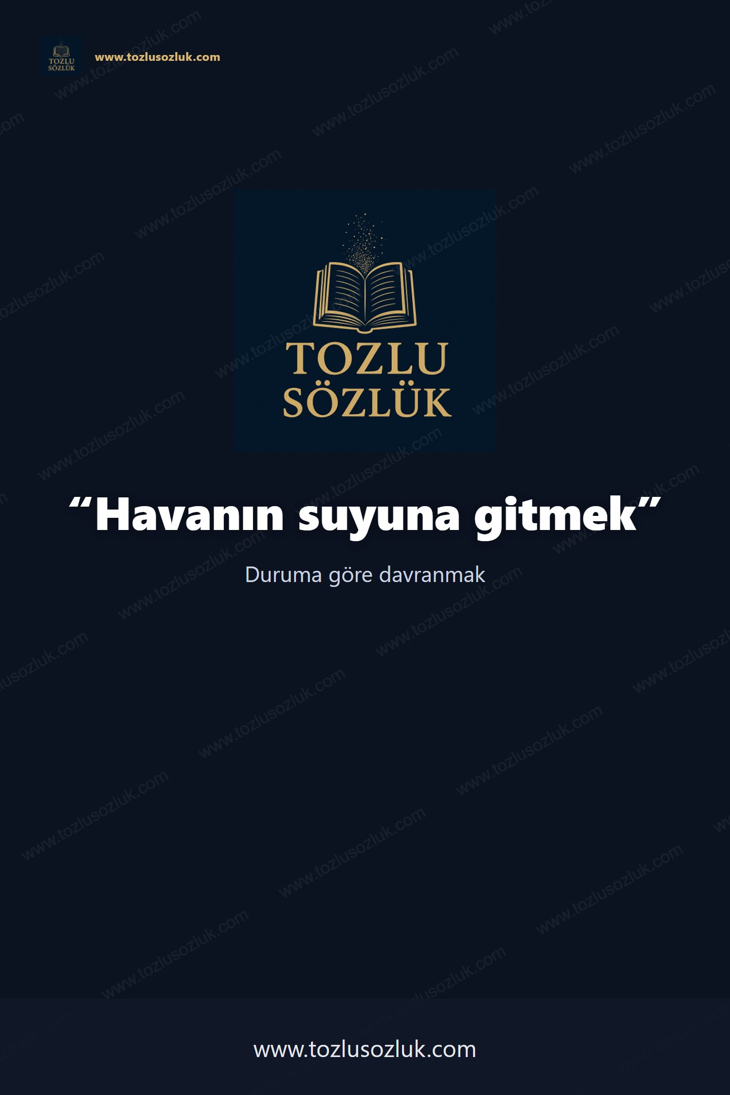 Havanın suyuna gitmek Pinterest görseli