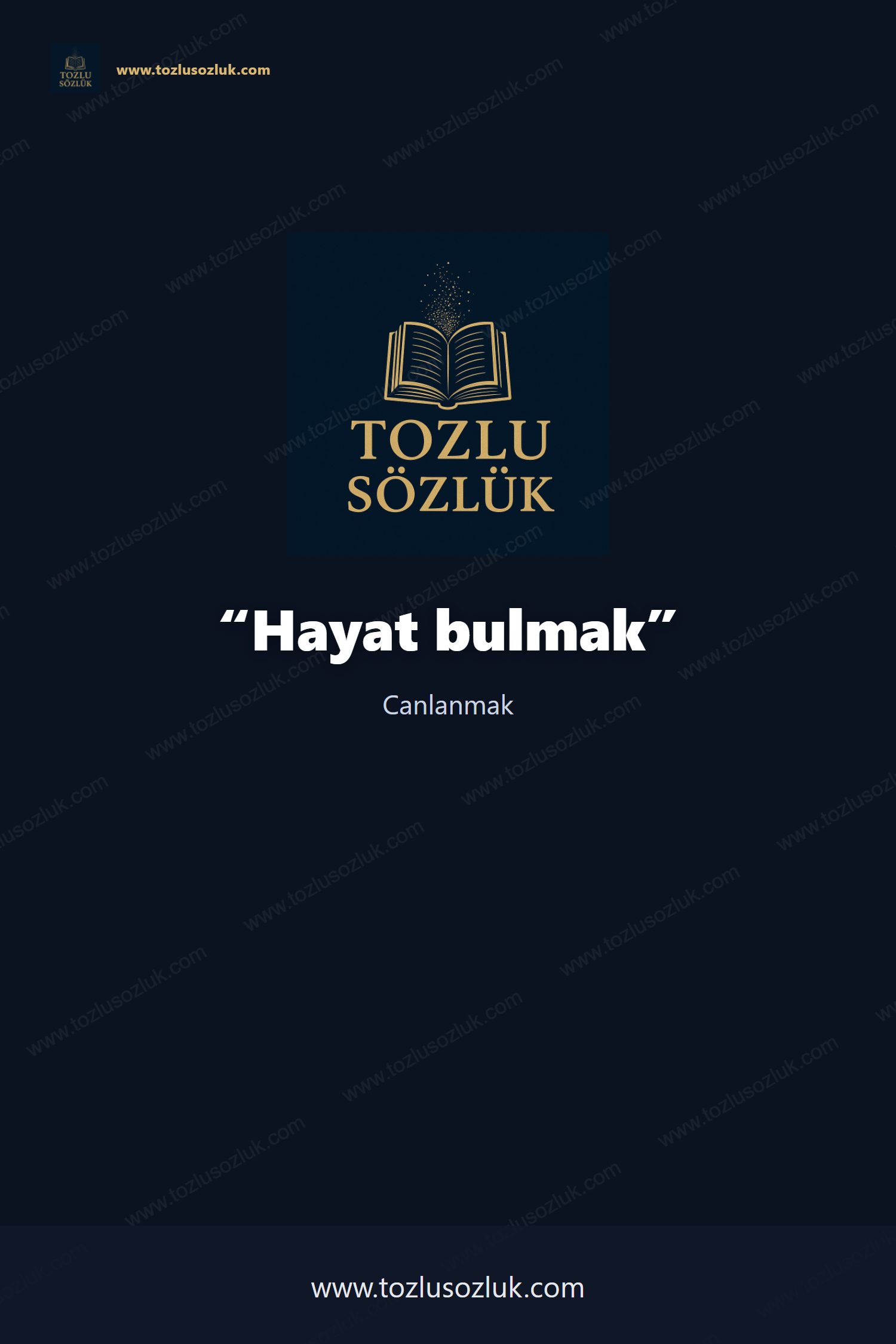 Hayat bulmak Pinterest görseli