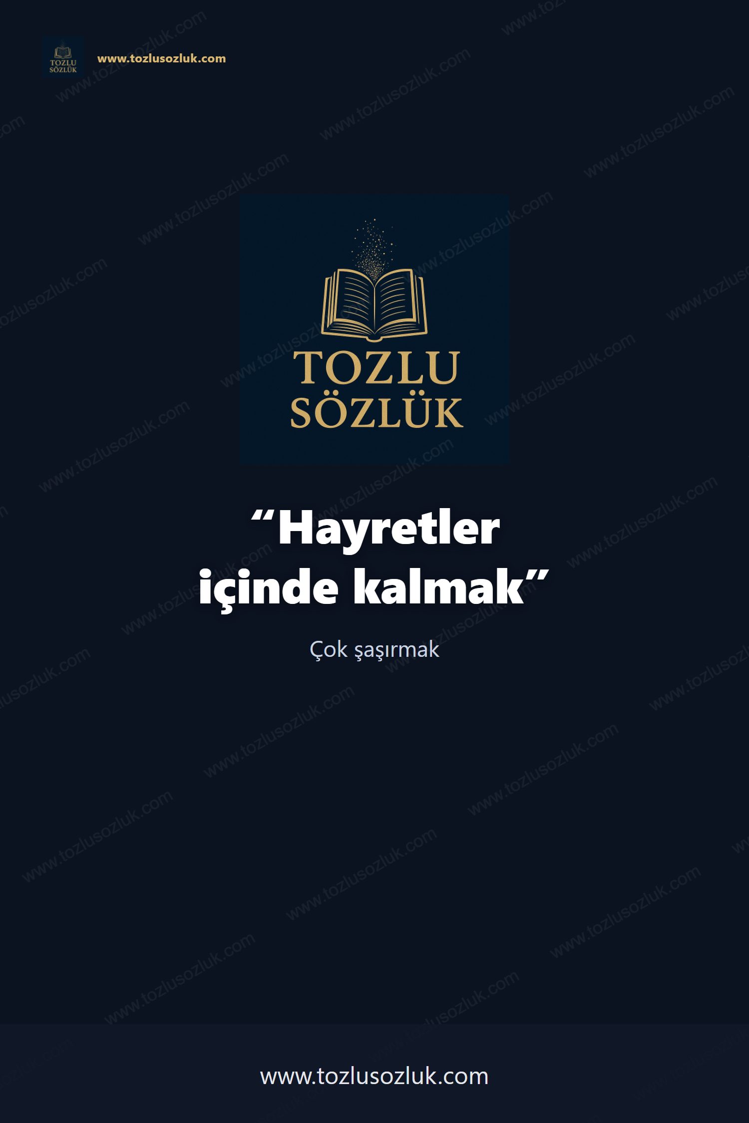 Hayretler içinde kalmak Pinterest görseli