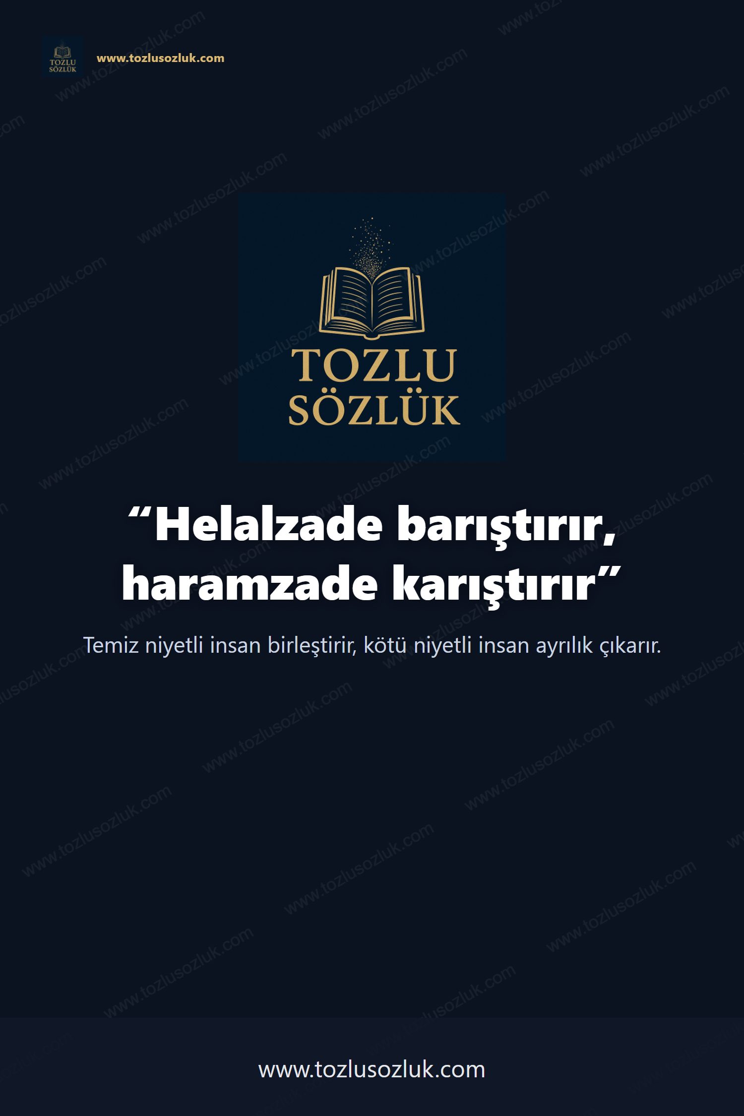 Helalzade barıştırır, haramzade karıştırır Pinterest görseli