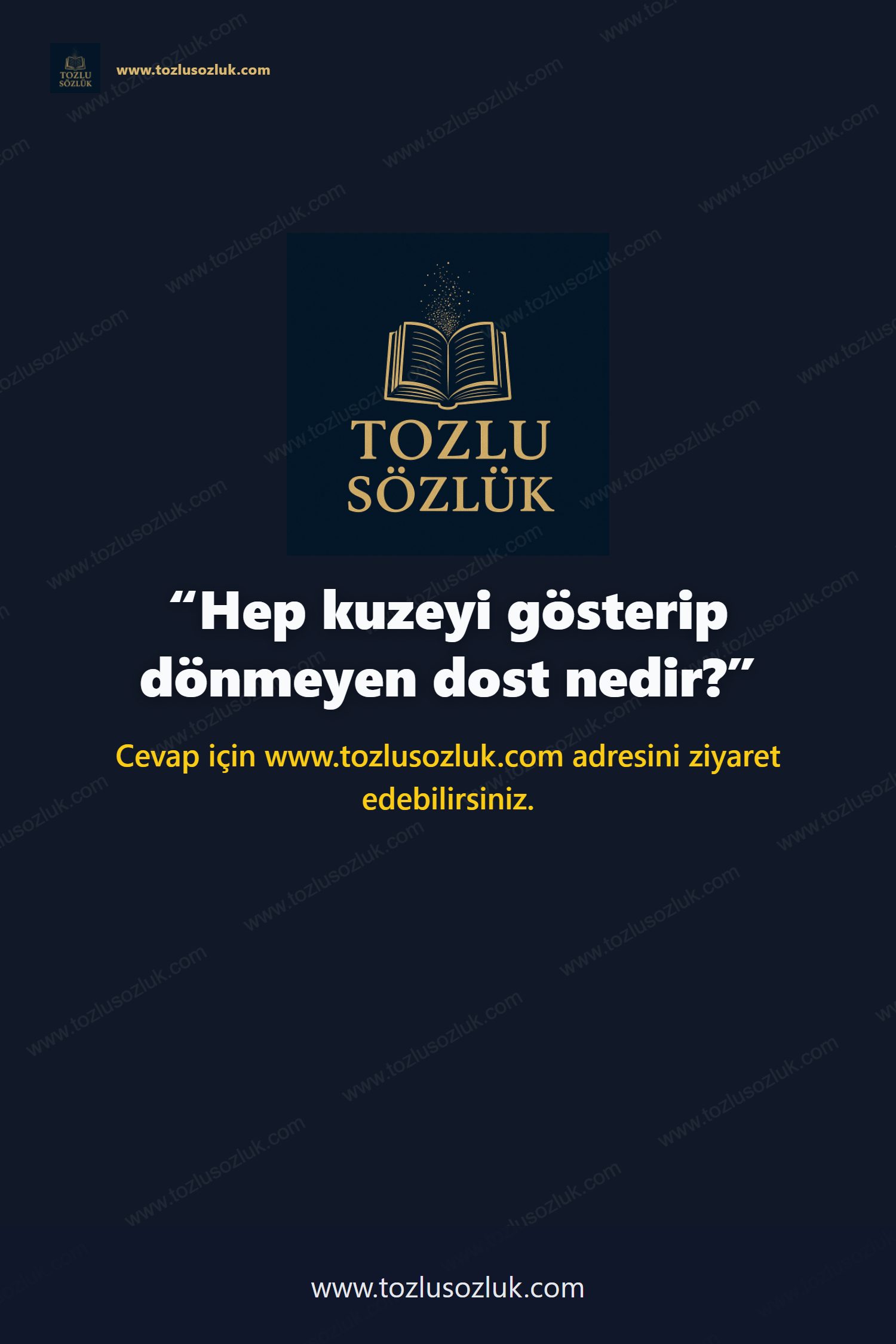 Hep kuzeyi gösterip dönmeyen dost nedir? Pinterest görseli