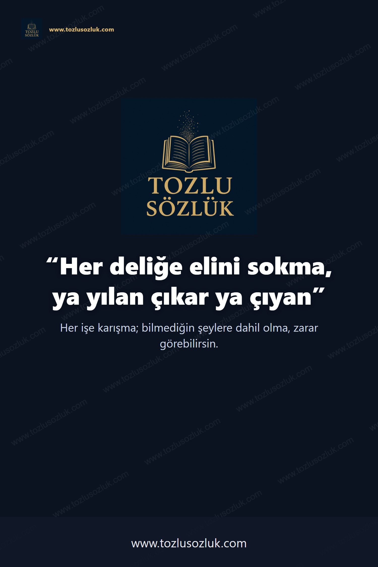 Her deliğe elini sokma, ya yılan çıkar ya çıyan Pinterest görseli