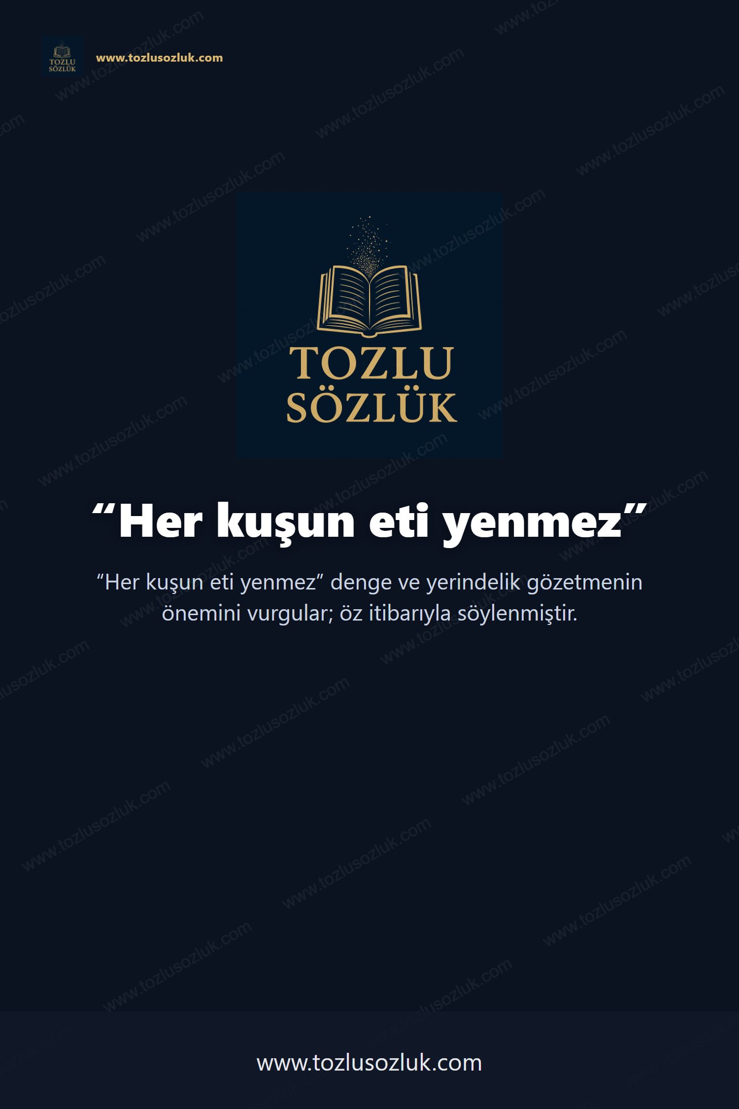 Her kuşun eti yenmez Pinterest görseli