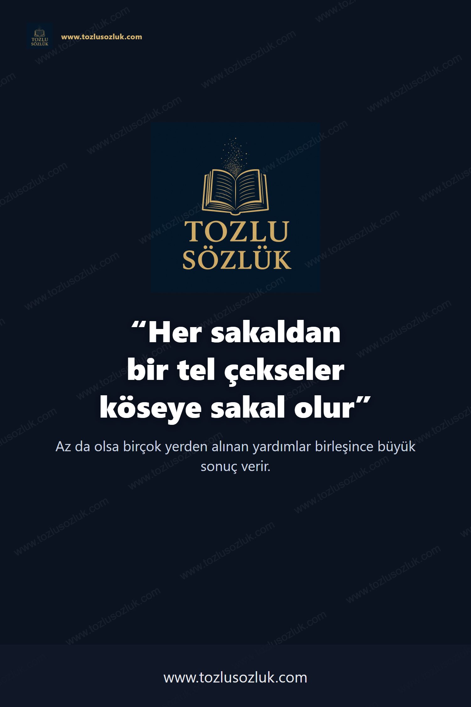 Her sakaldan bir tel çekseler köseye sakal olur Pinterest görseli