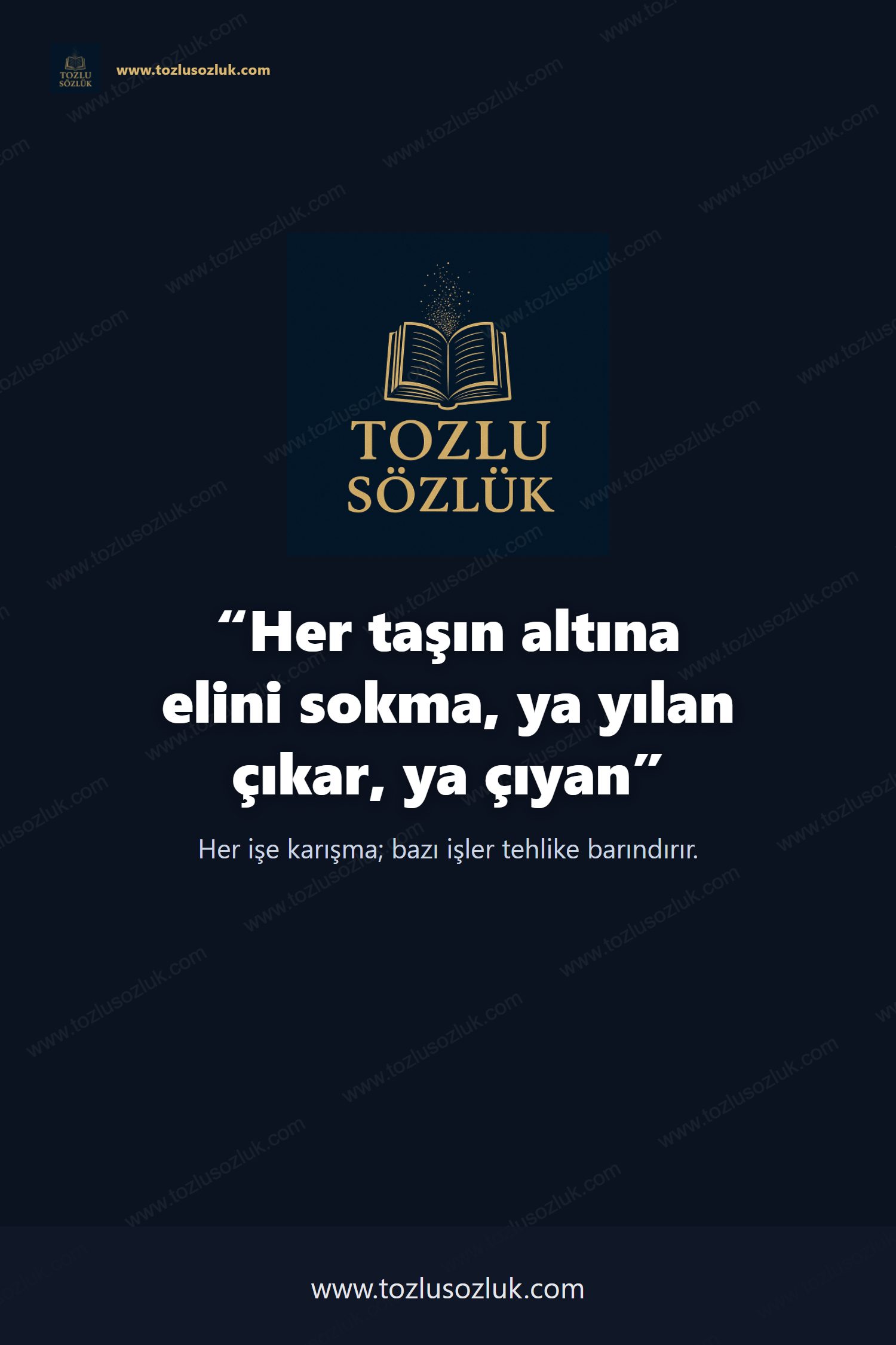 Her taşın altına elini sokma, ya yılan çıkar, ya çıyan Pinterest görseli