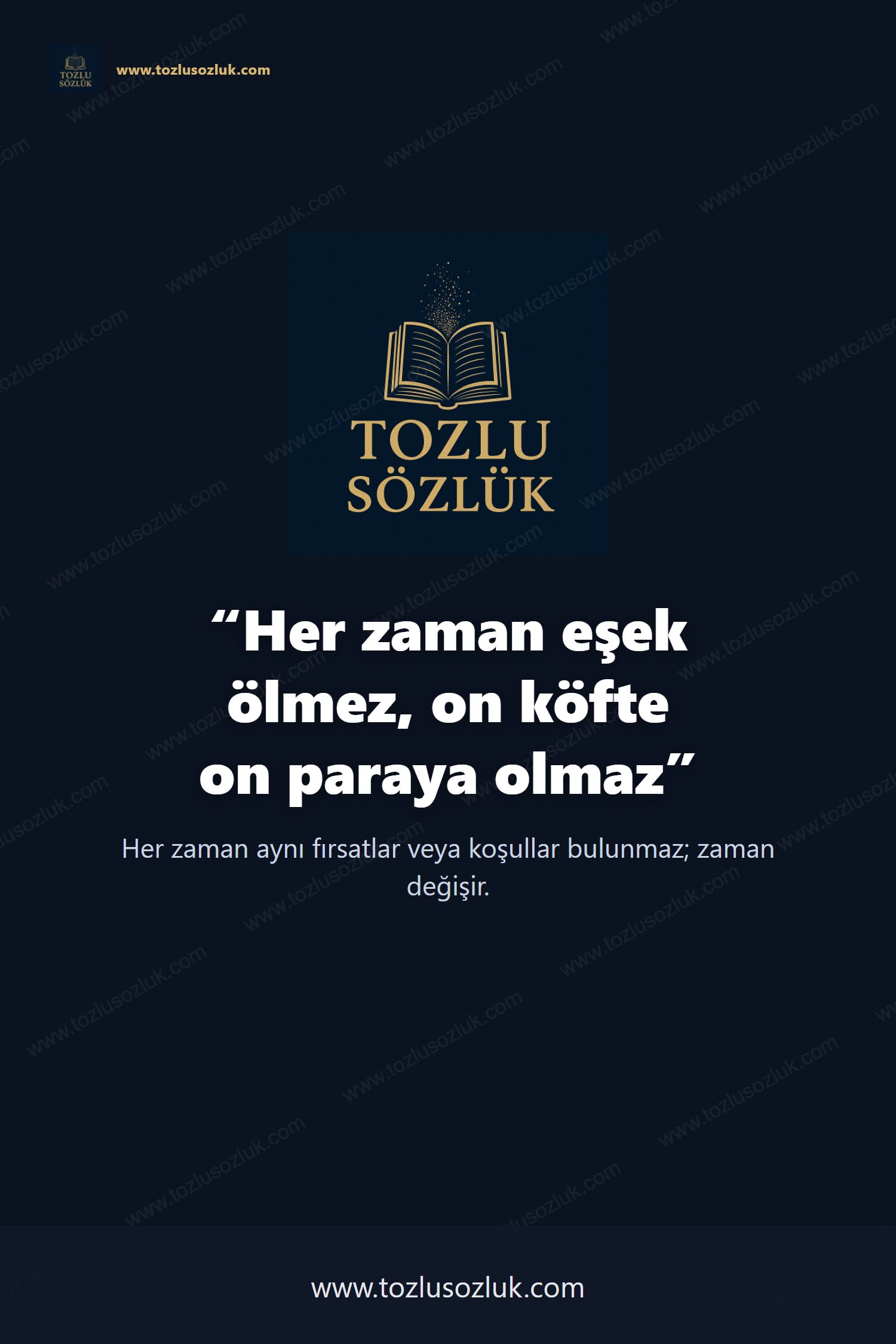 Her zaman eşek ölmez, on köfte on paraya olmaz Pinterest görseli