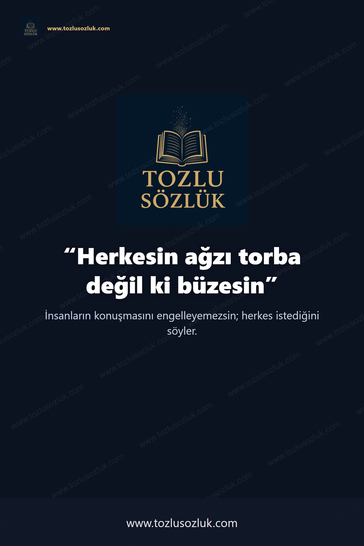 Herkesin ağzı torba değil ki büzesin Pinterest görseli