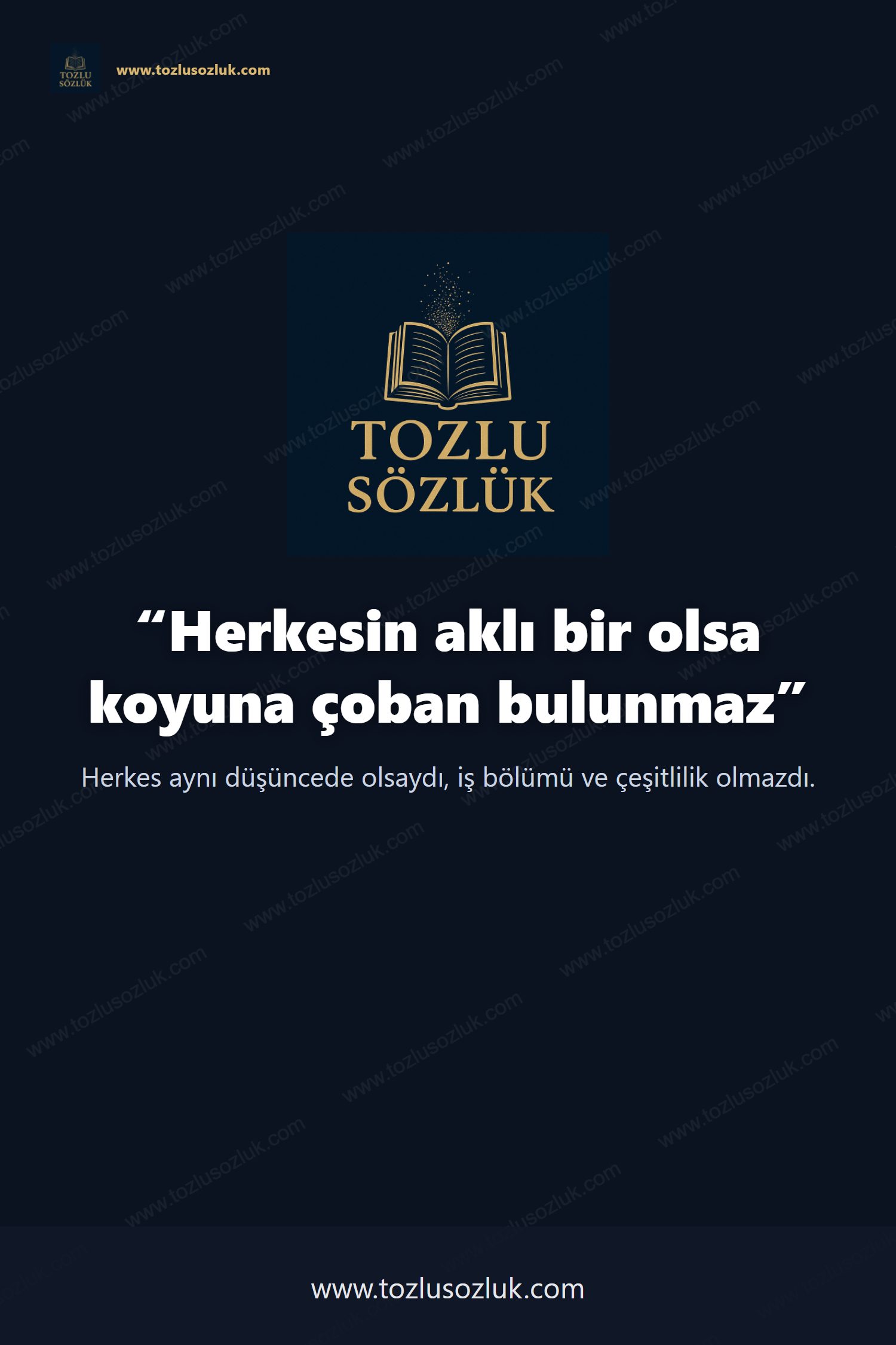 Herkesin aklı bir olsa koyuna çoban bulunmaz Pinterest görseli