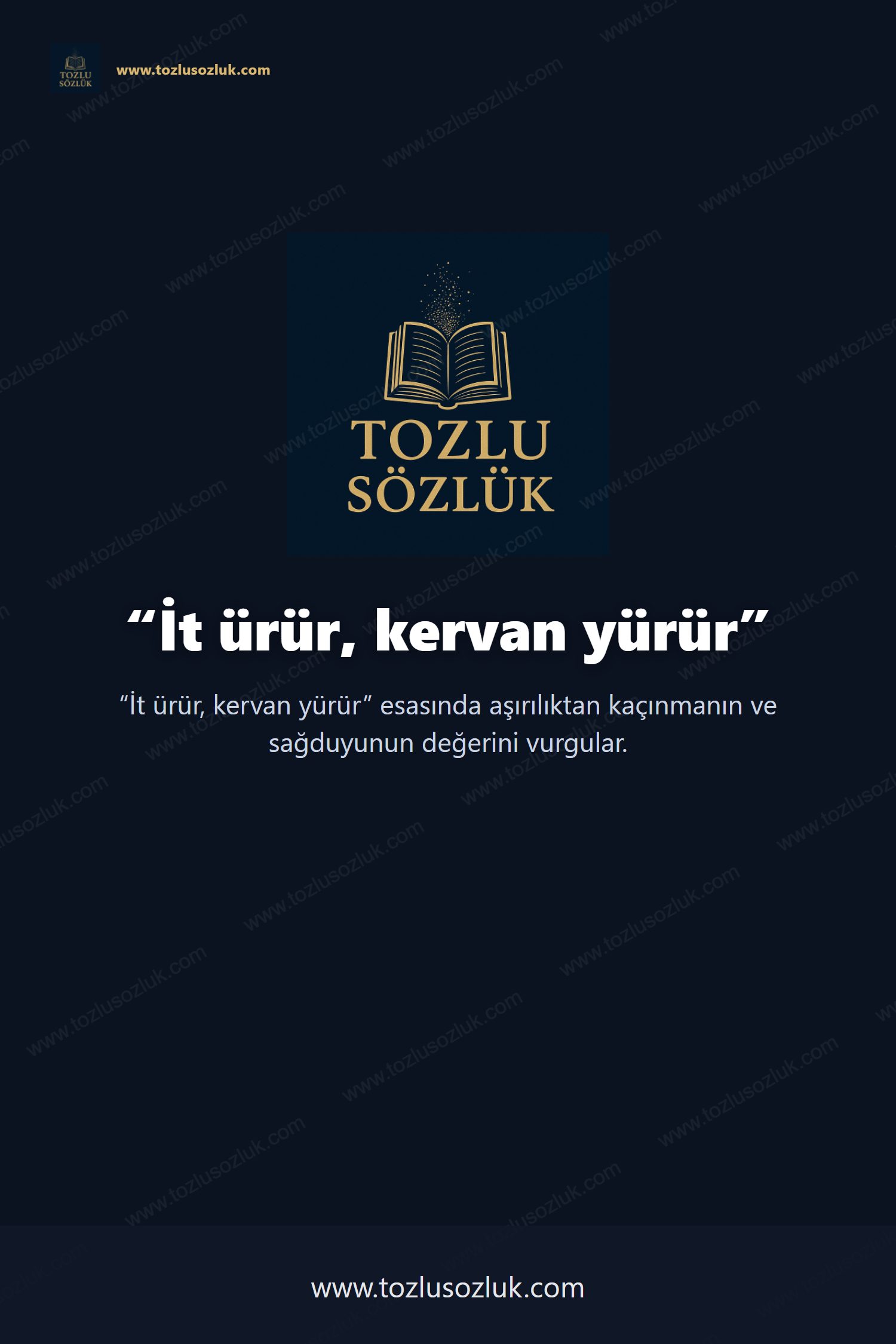 İt ürür, kervan yürür Pinterest görseli