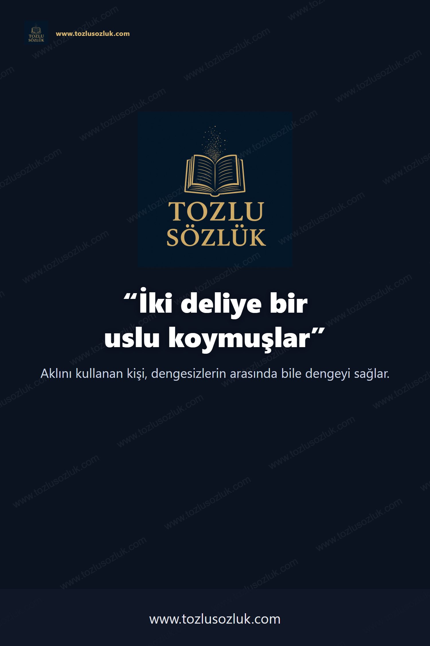 İki deliye bir uslu koymuşlar Pinterest görseli