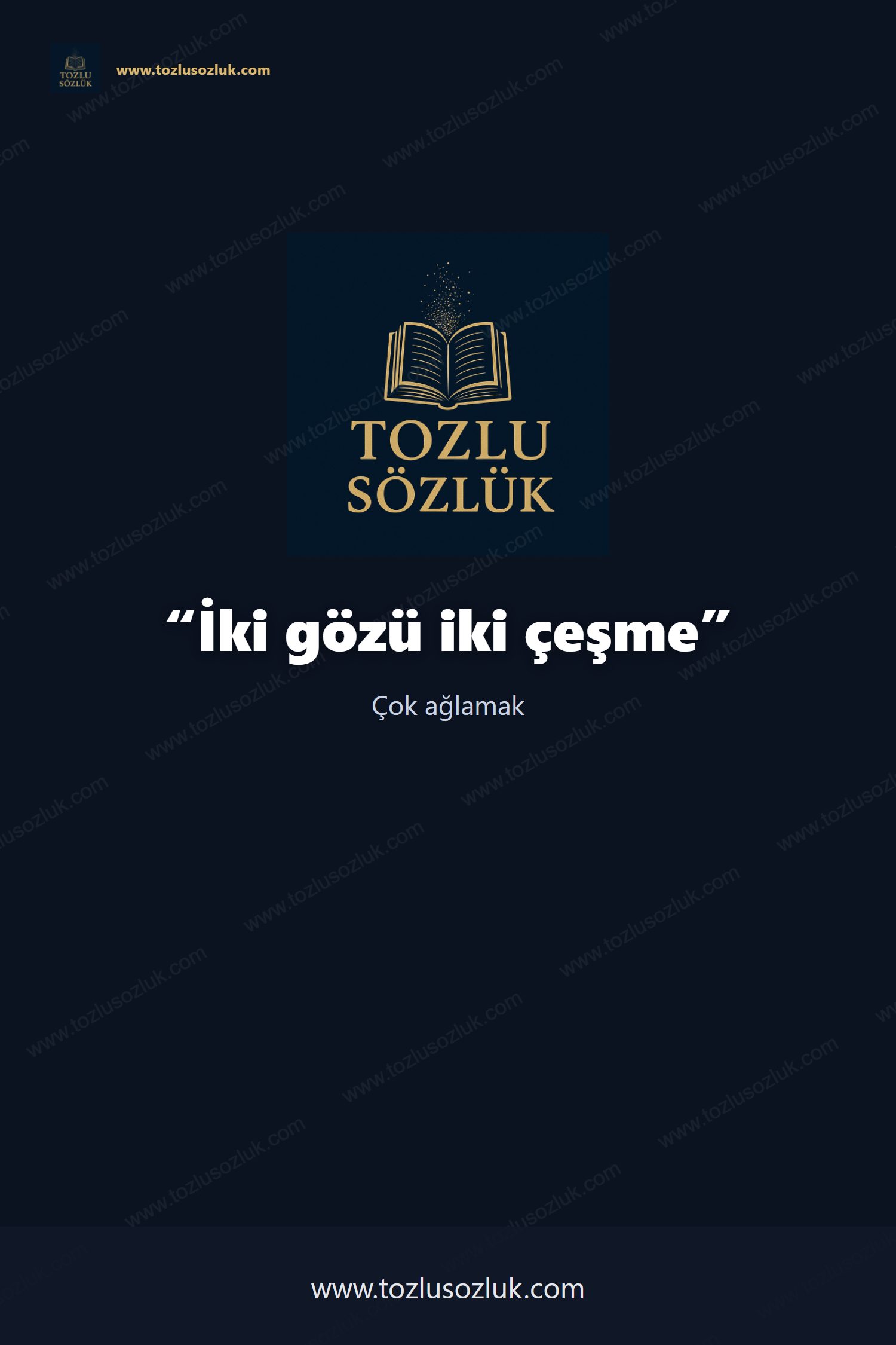 İki gözü iki çeşme Pinterest görseli