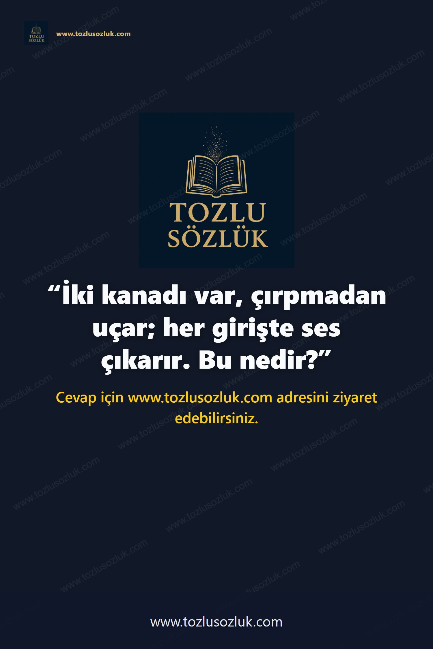 İki kanadı var, çırpmadan uçar; her girişte ses çıkarır. Bu nedir? Pinterest görseli