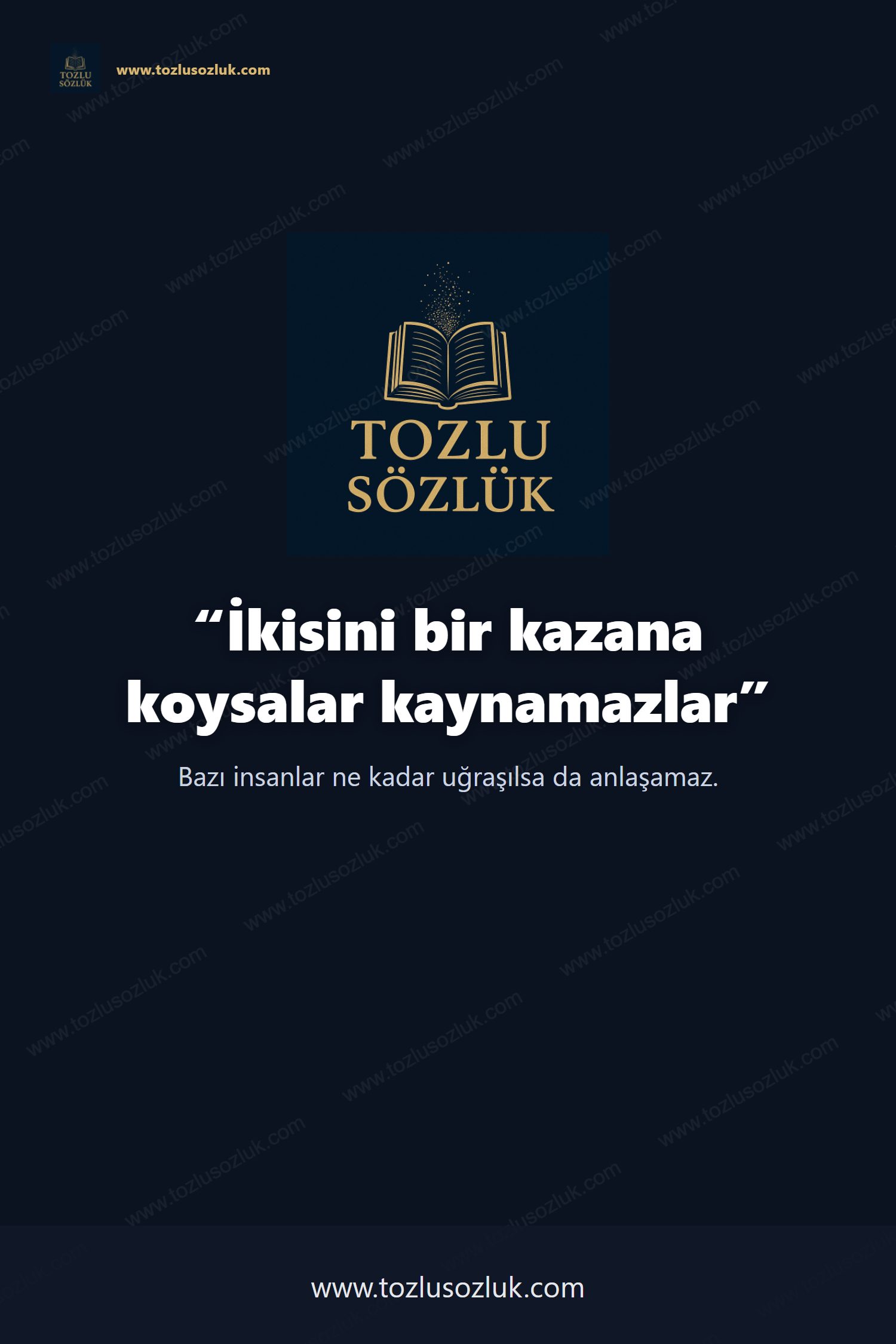 İkisini bir kazana koysalar kaynamazlar Pinterest görseli