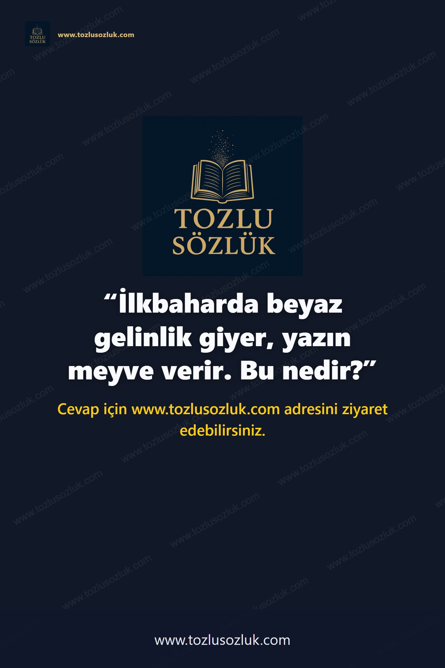 İlkbaharda beyaz gelinlik giyer, yazın meyve verir. Bu nedir? Pinterest görseli