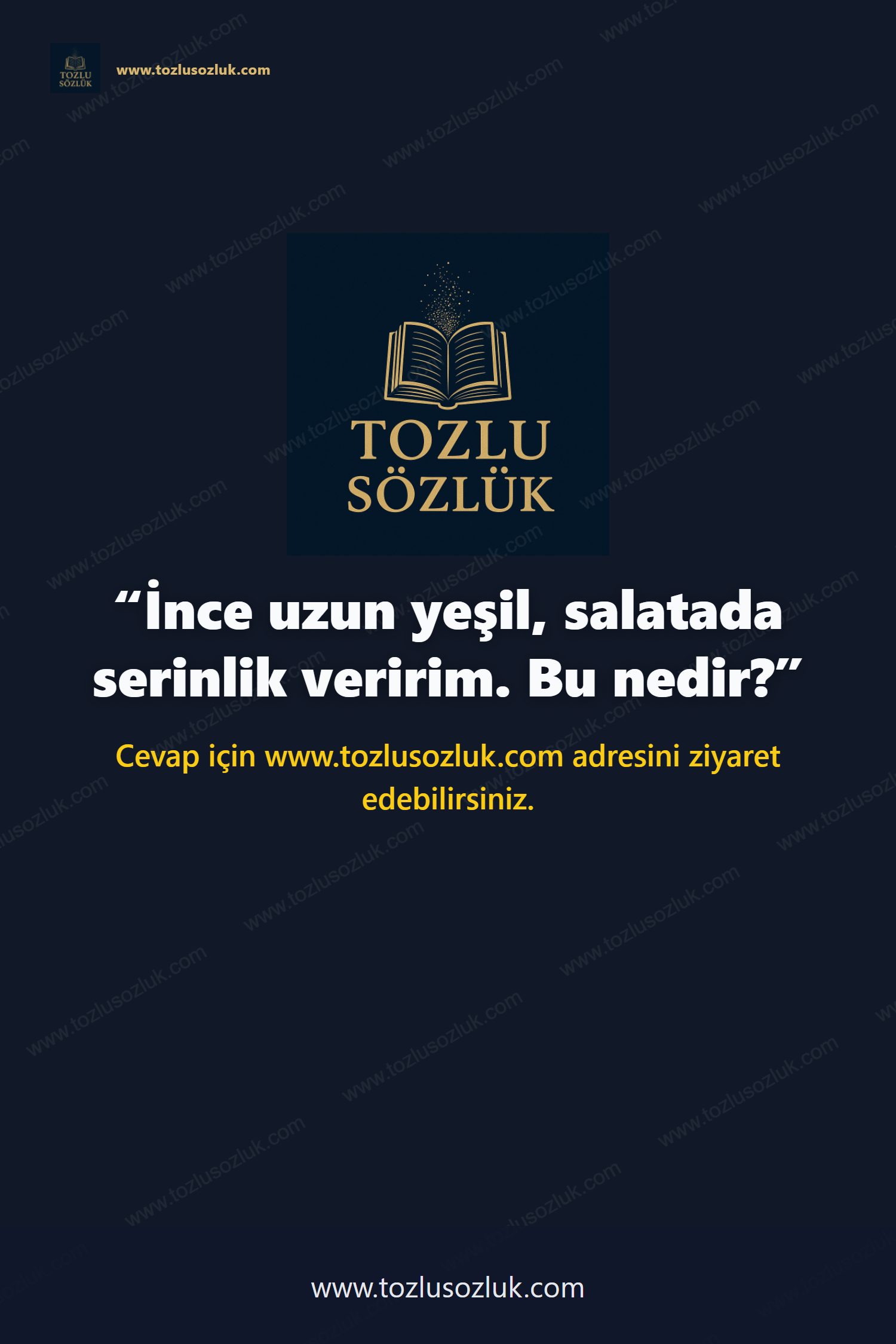 İnce uzun yeşil, salatada serinlik veririm. Bu nedir? Pinterest görseli