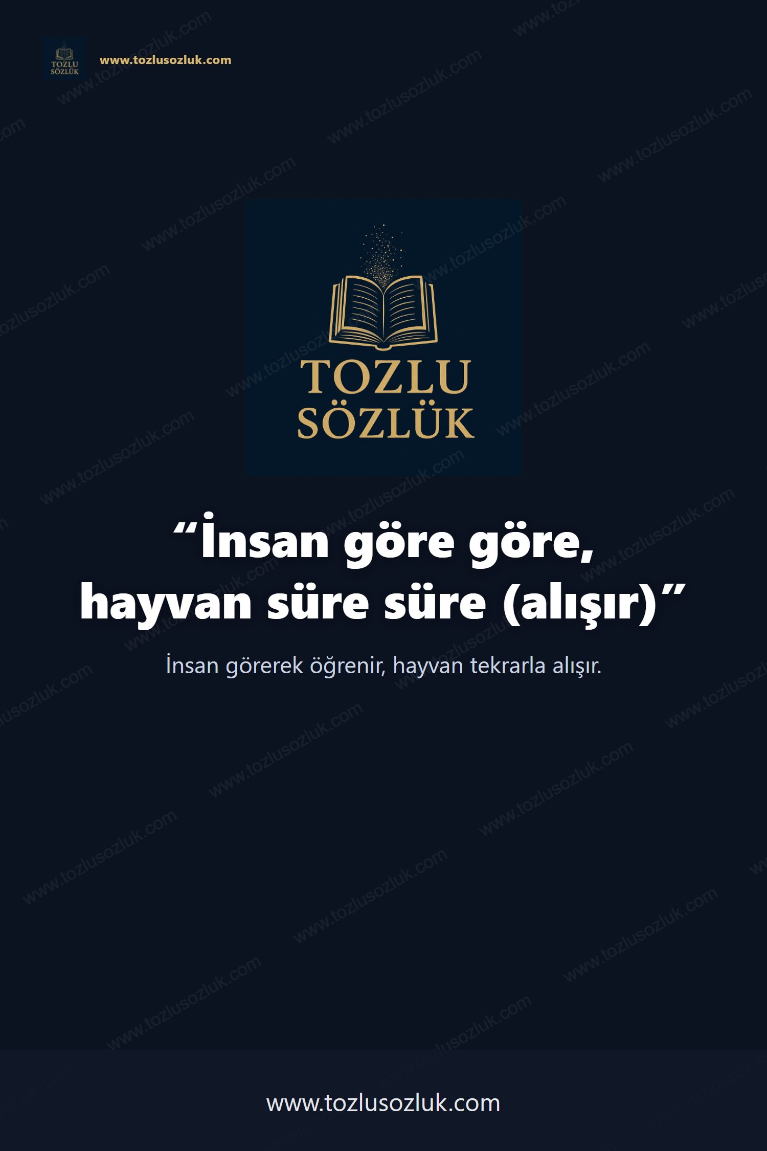 İnsan göre göre, hayvan süre süre (alışır) Pinterest görseli