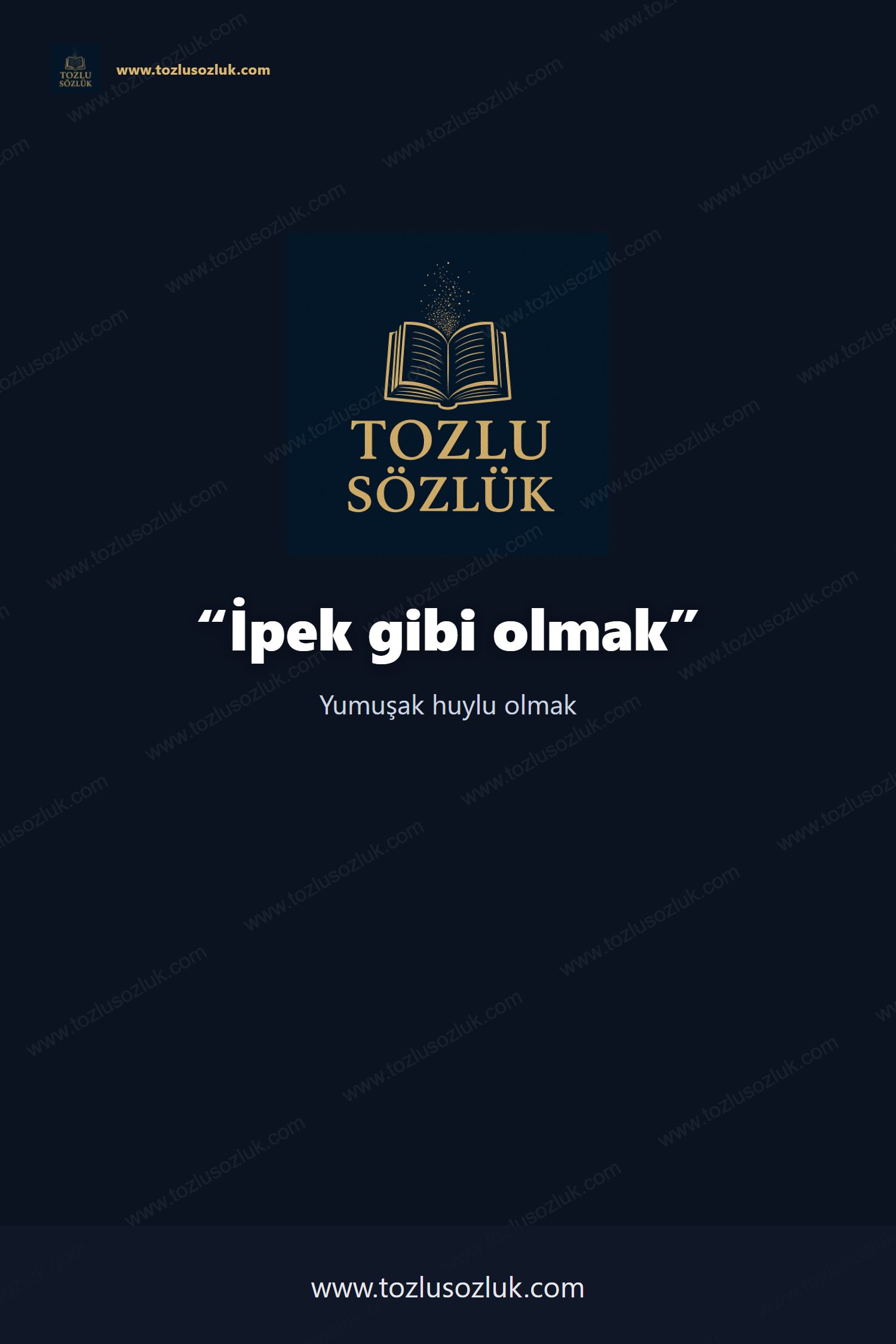 İpek gibi olmak Pinterest görseli