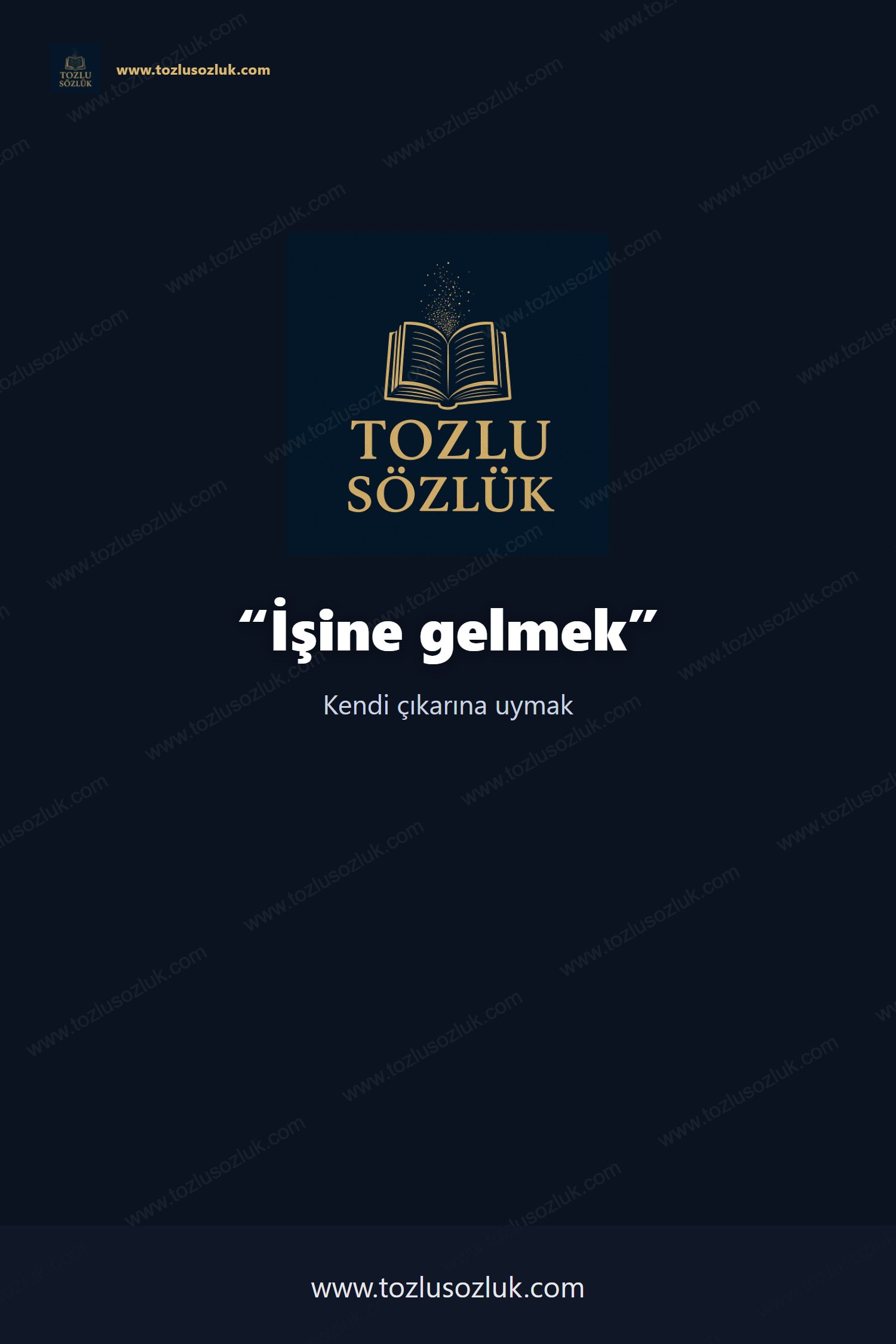 İşine gelmek Pinterest görseli