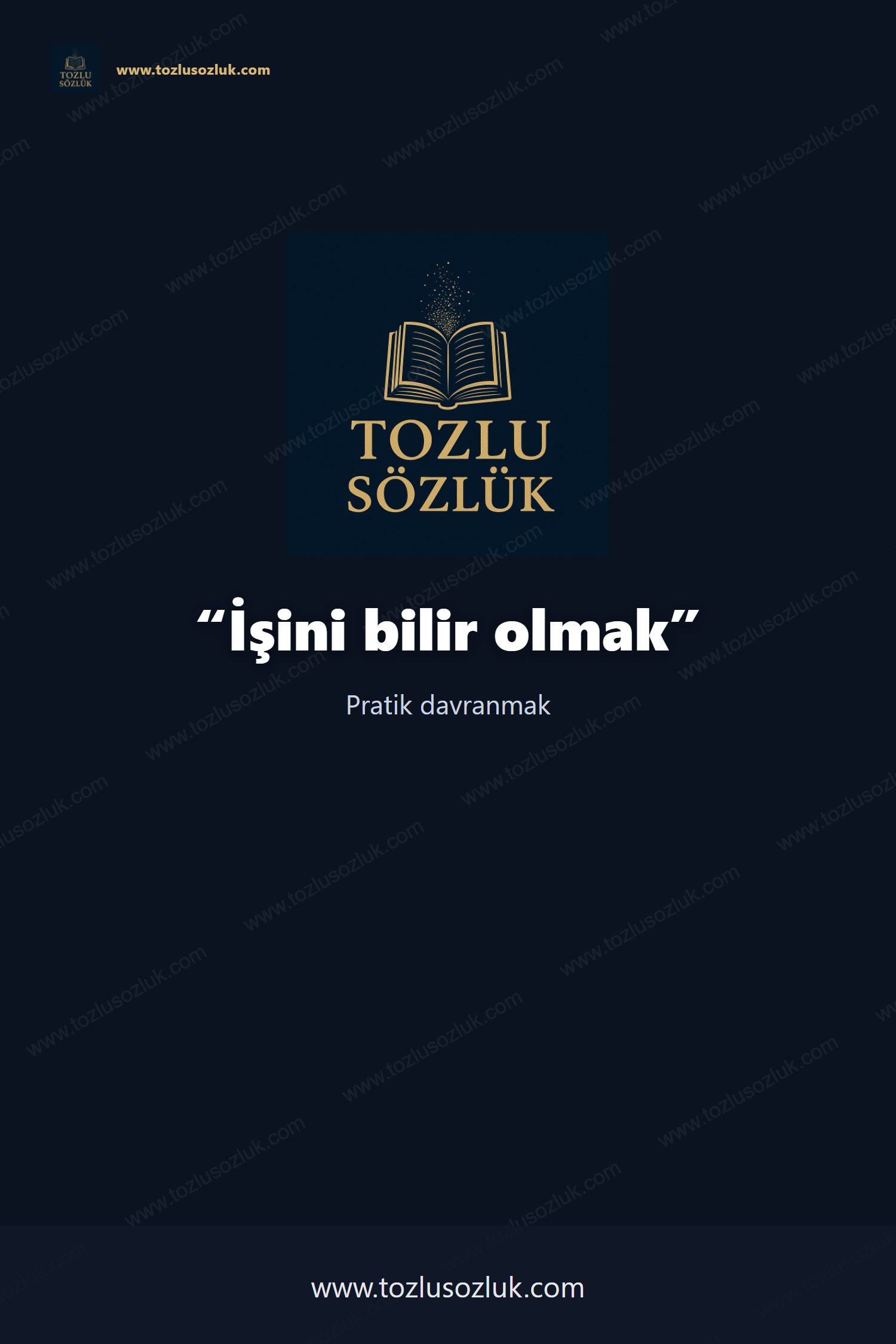 İşini bilir olmak Pinterest görseli